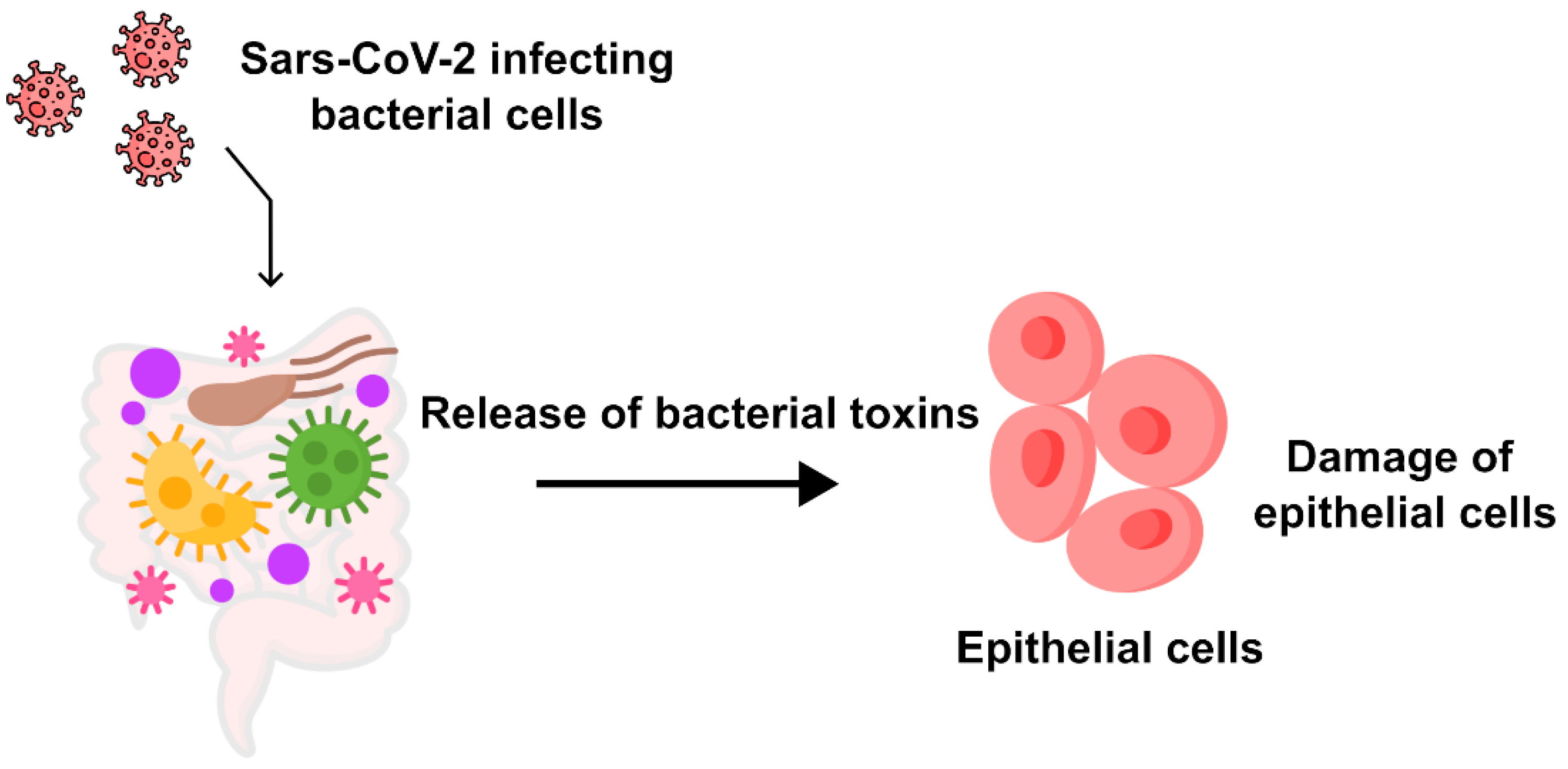 Microorganisms 12 00643 g007