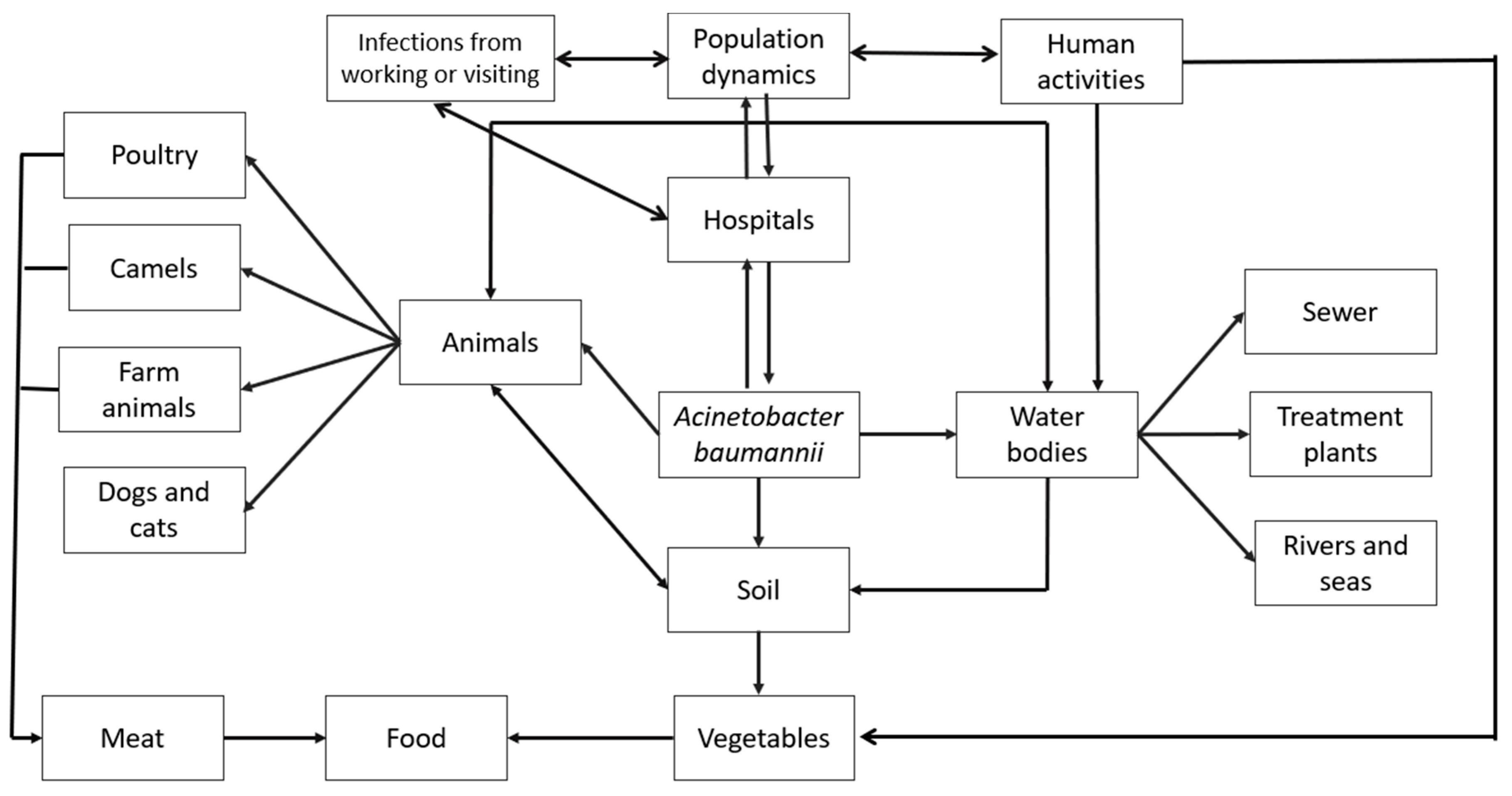 Microorganisms 12 00644 g003