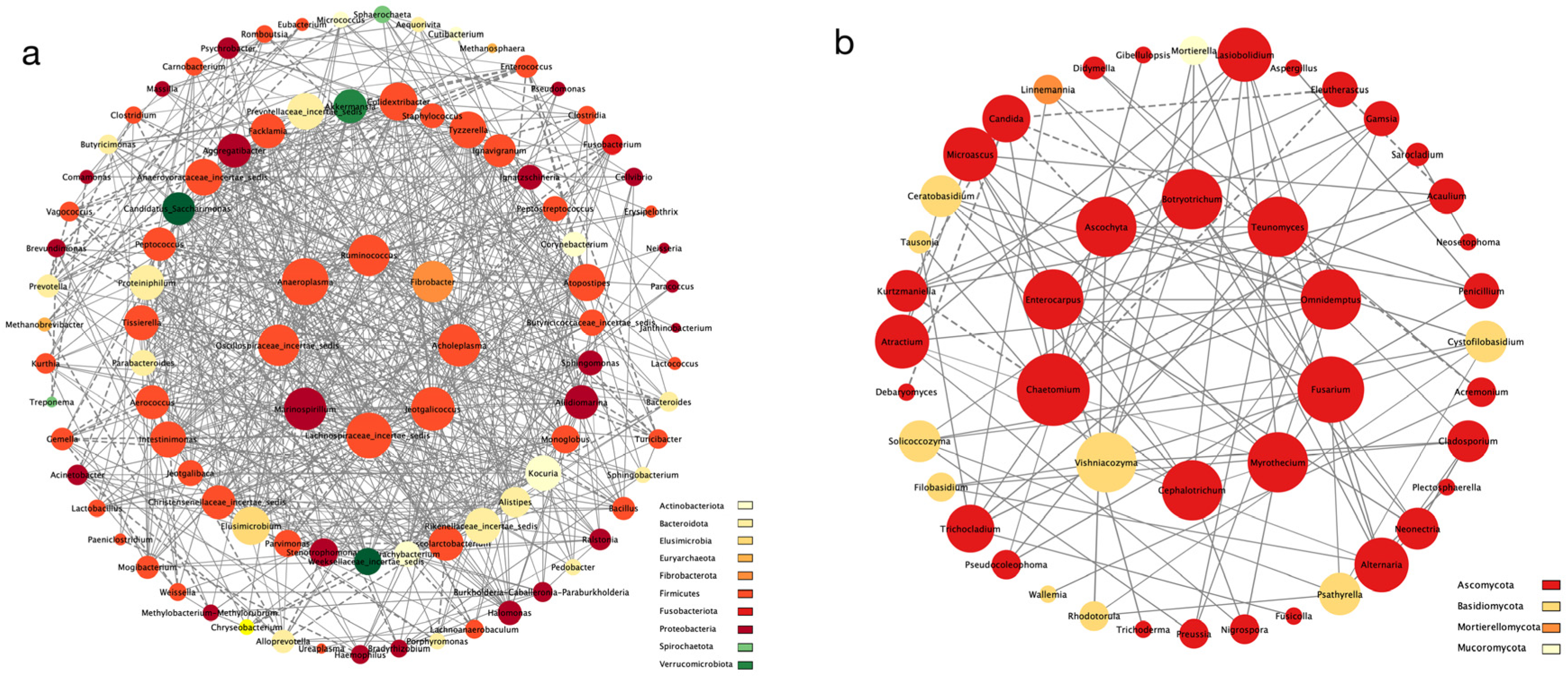 Microorganisms 12 00646 g006