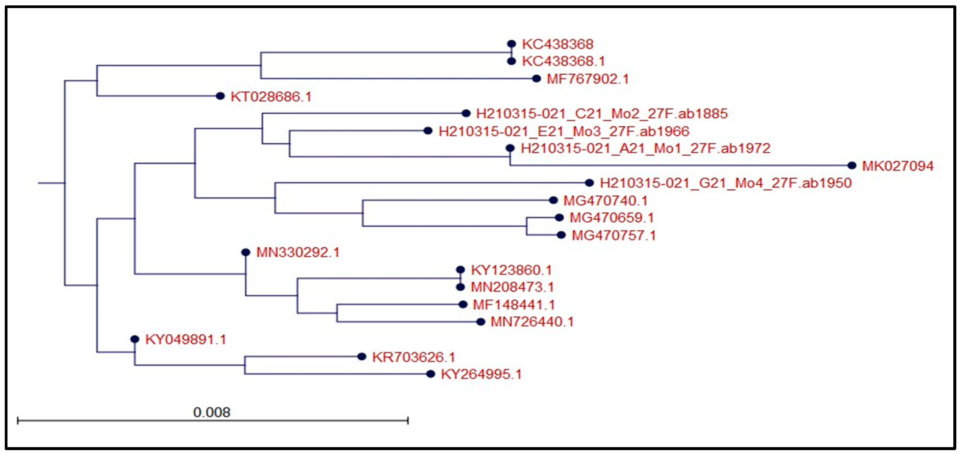 Microorganisms 12 00651 g003