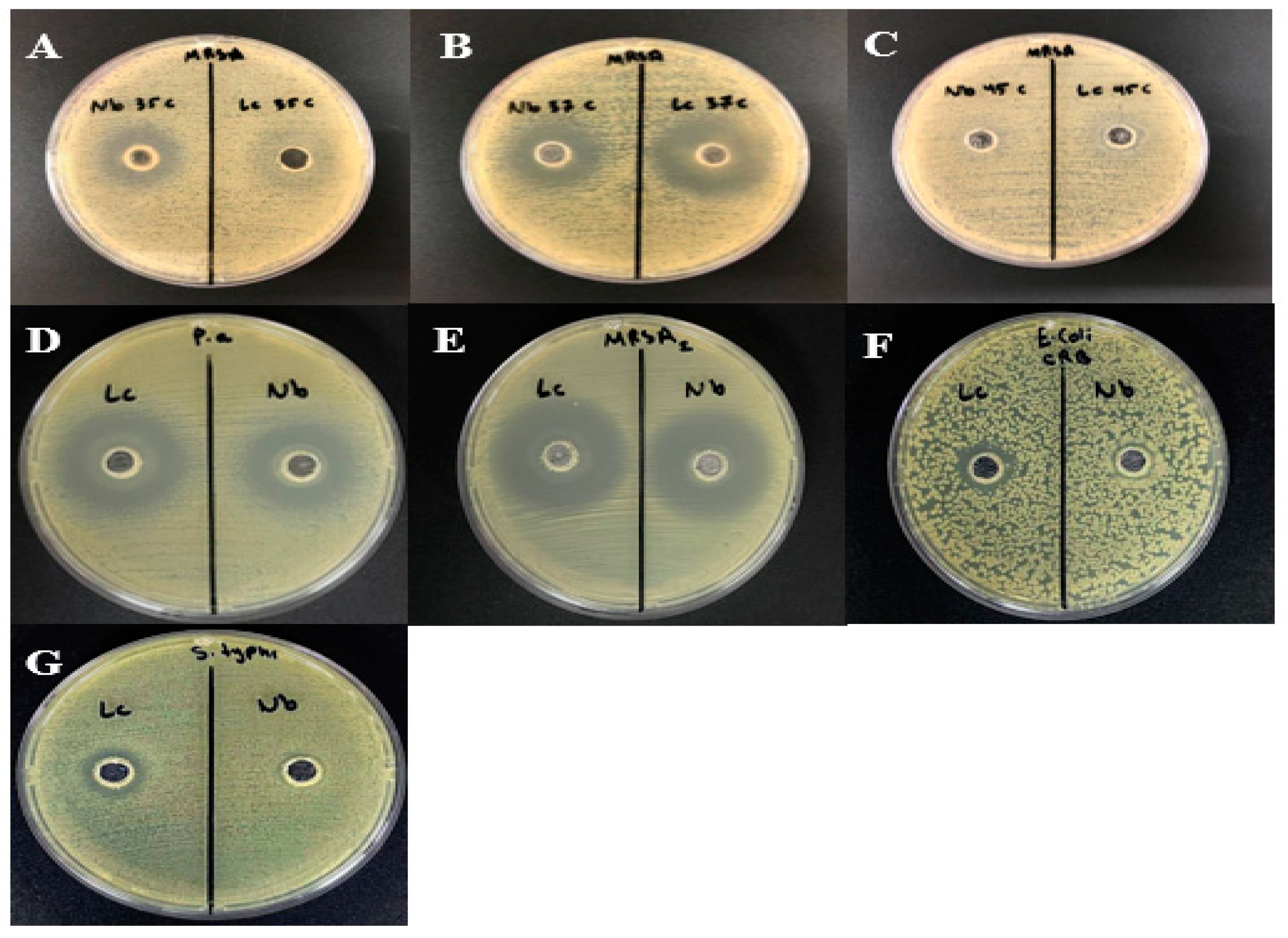 Microorganisms 12 00651 g005