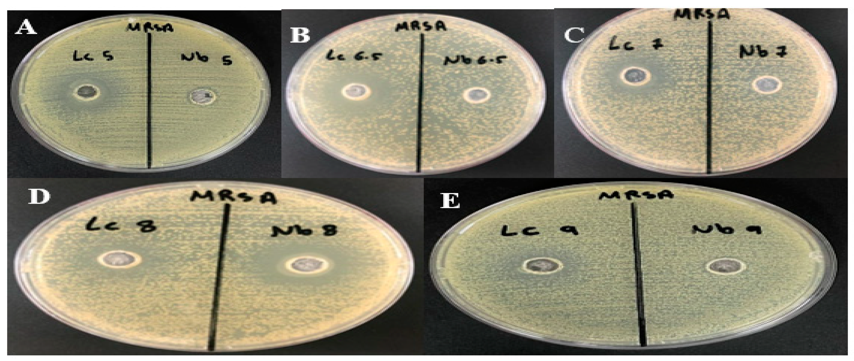 Microorganisms 12 00651 g006