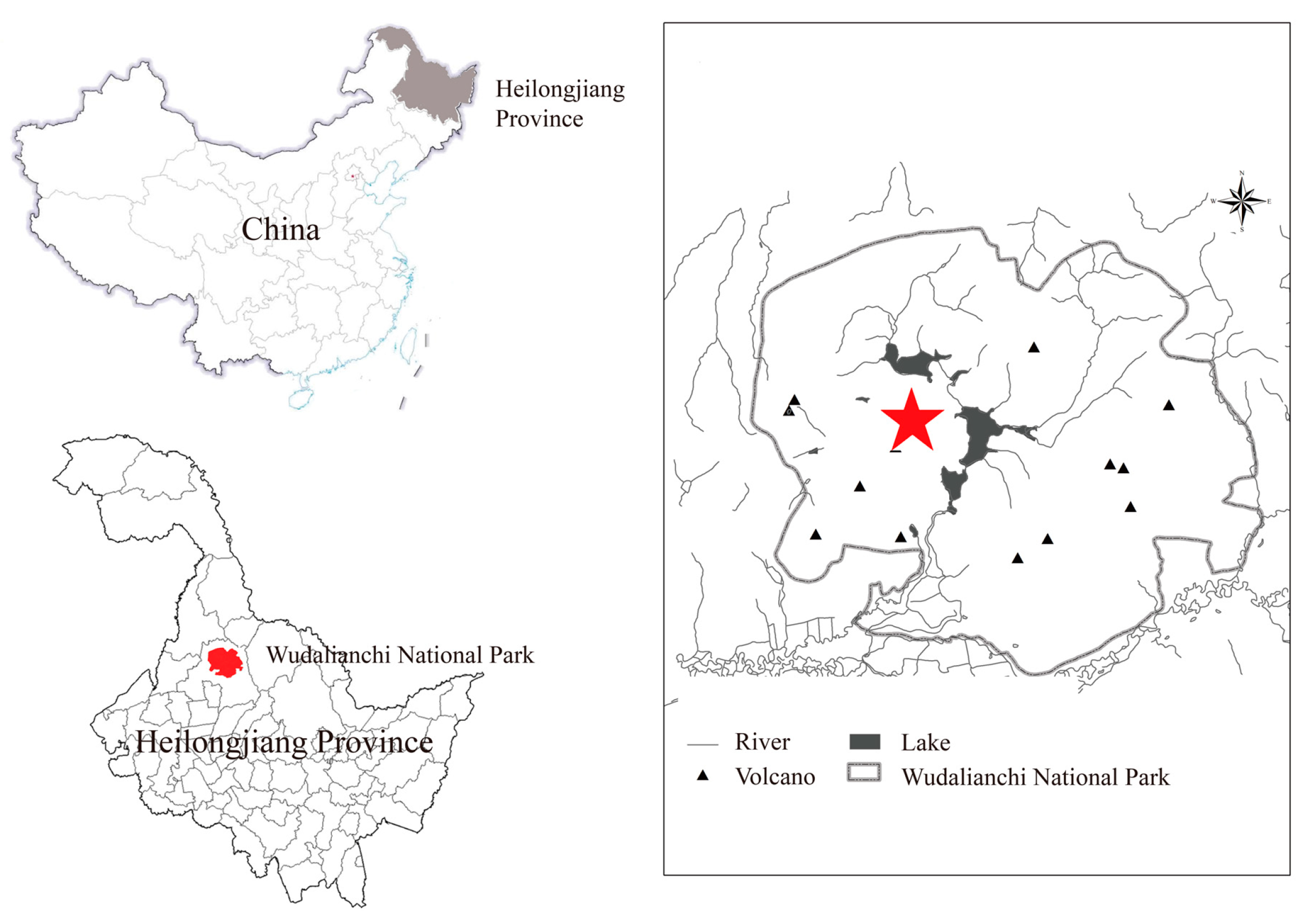 Microorganisms 12 00656 g001