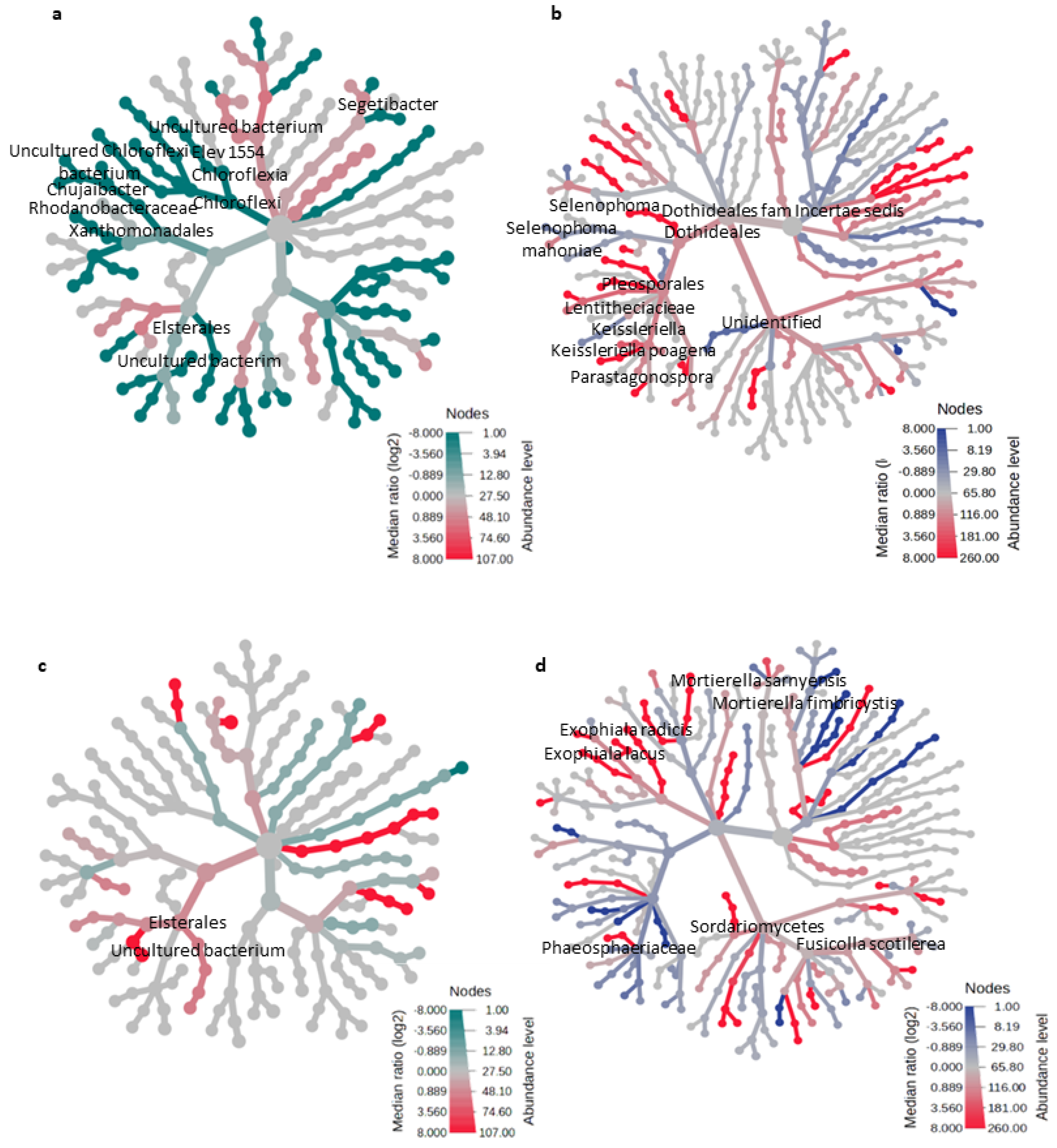 Microorganisms 12 00667 g006