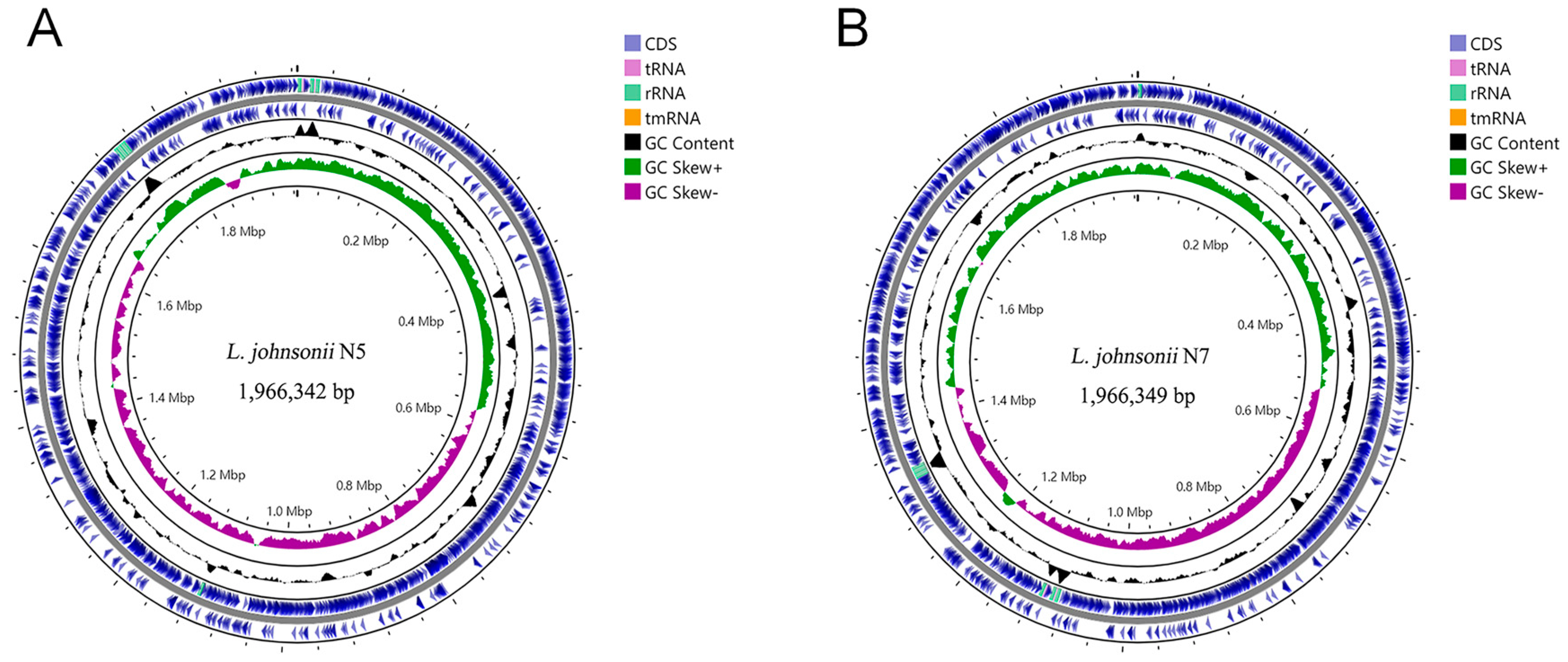 Microorganisms 12 00672 g002