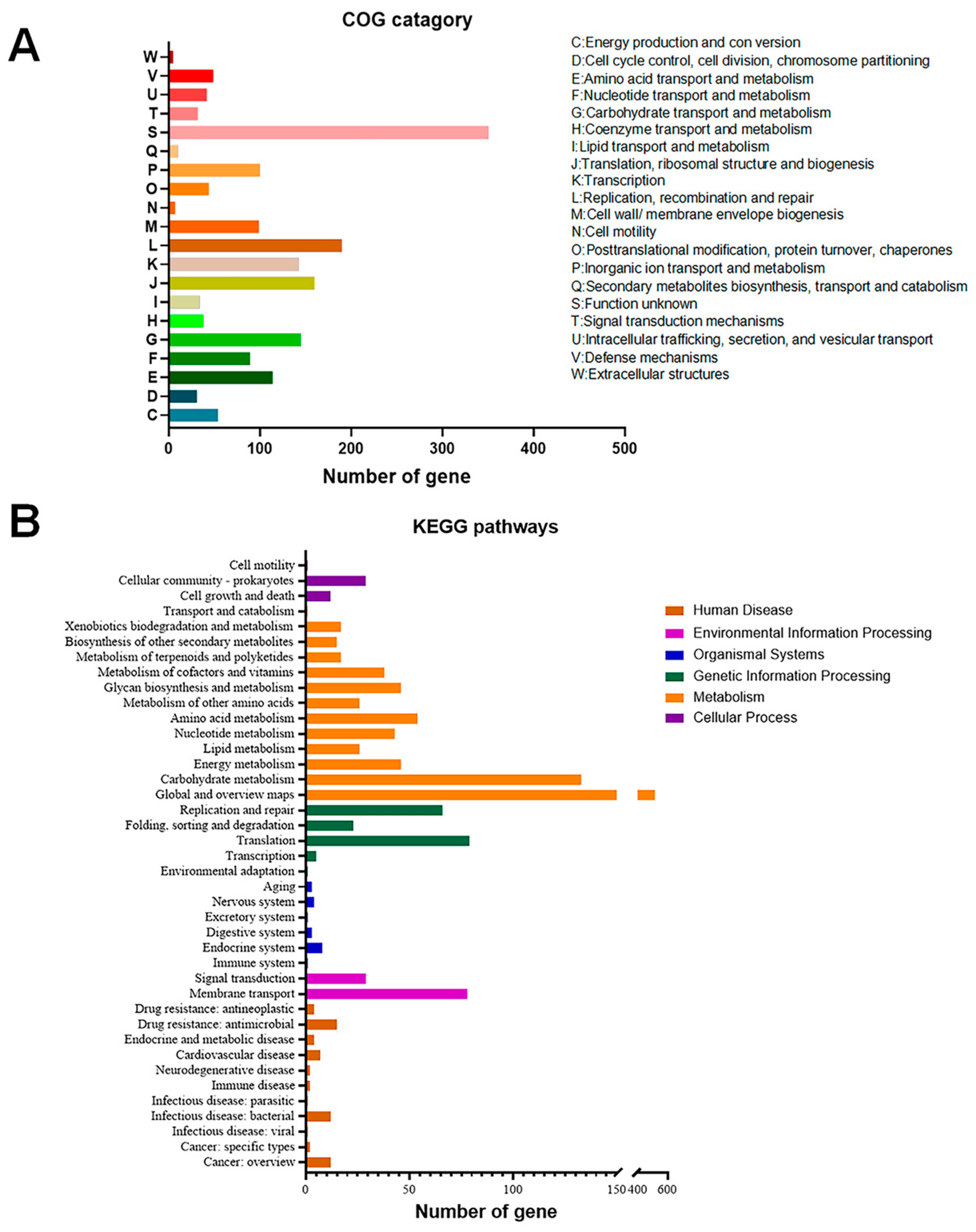 Microorganisms 12 00672 g003