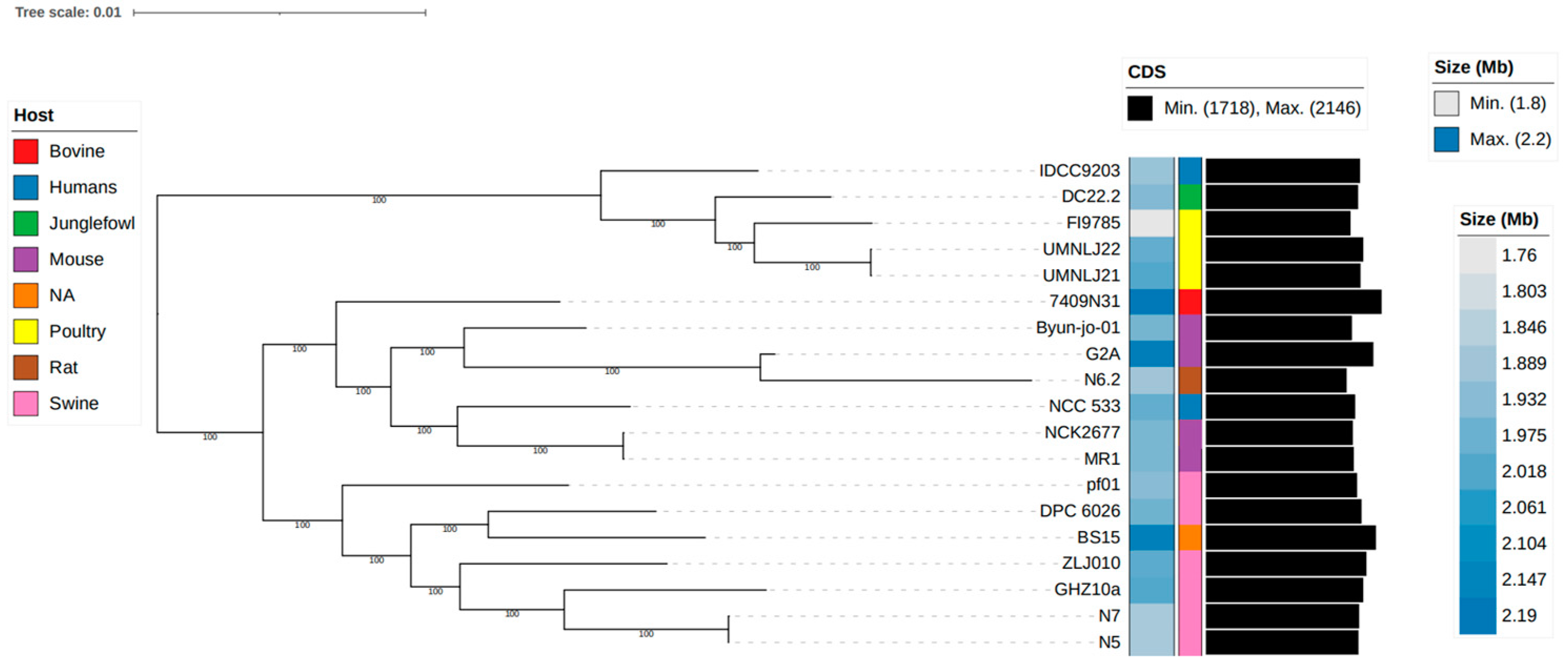 Microorganisms 12 00672 g005