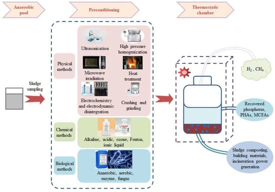 Microorganisms 12 00680 g002