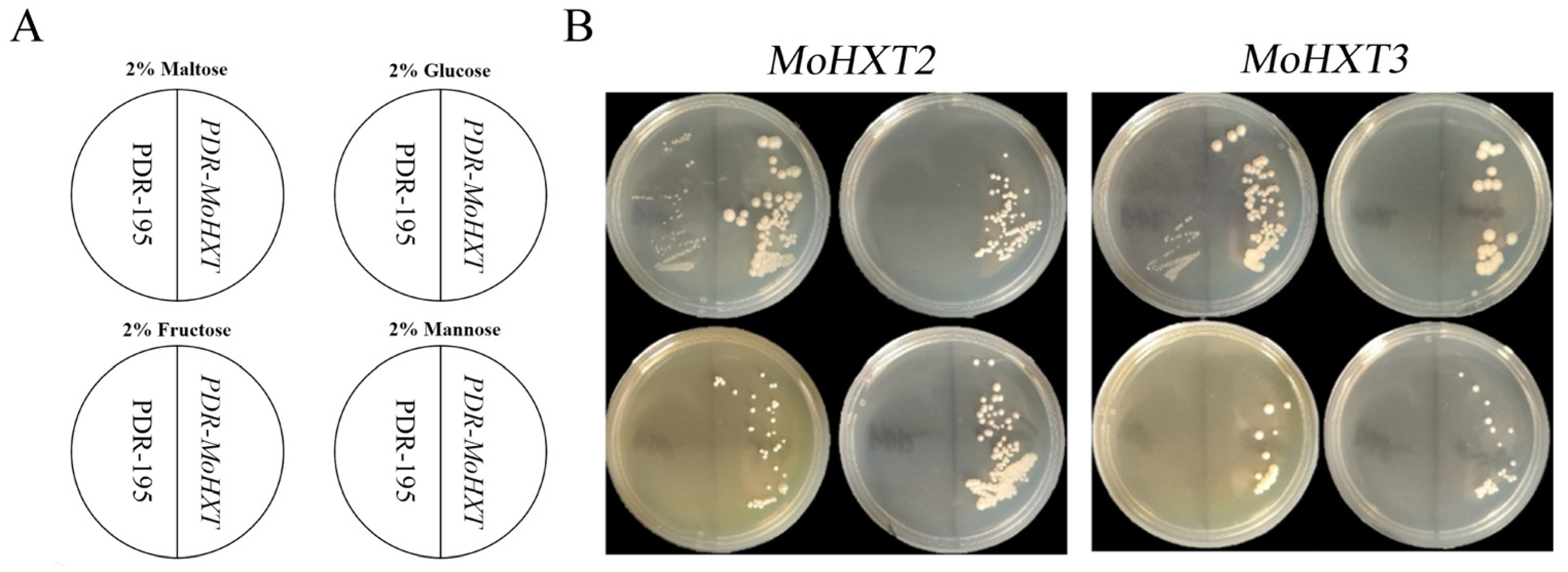 Microorganisms 12 00681 g003 Microorganisms 12 00681 g003