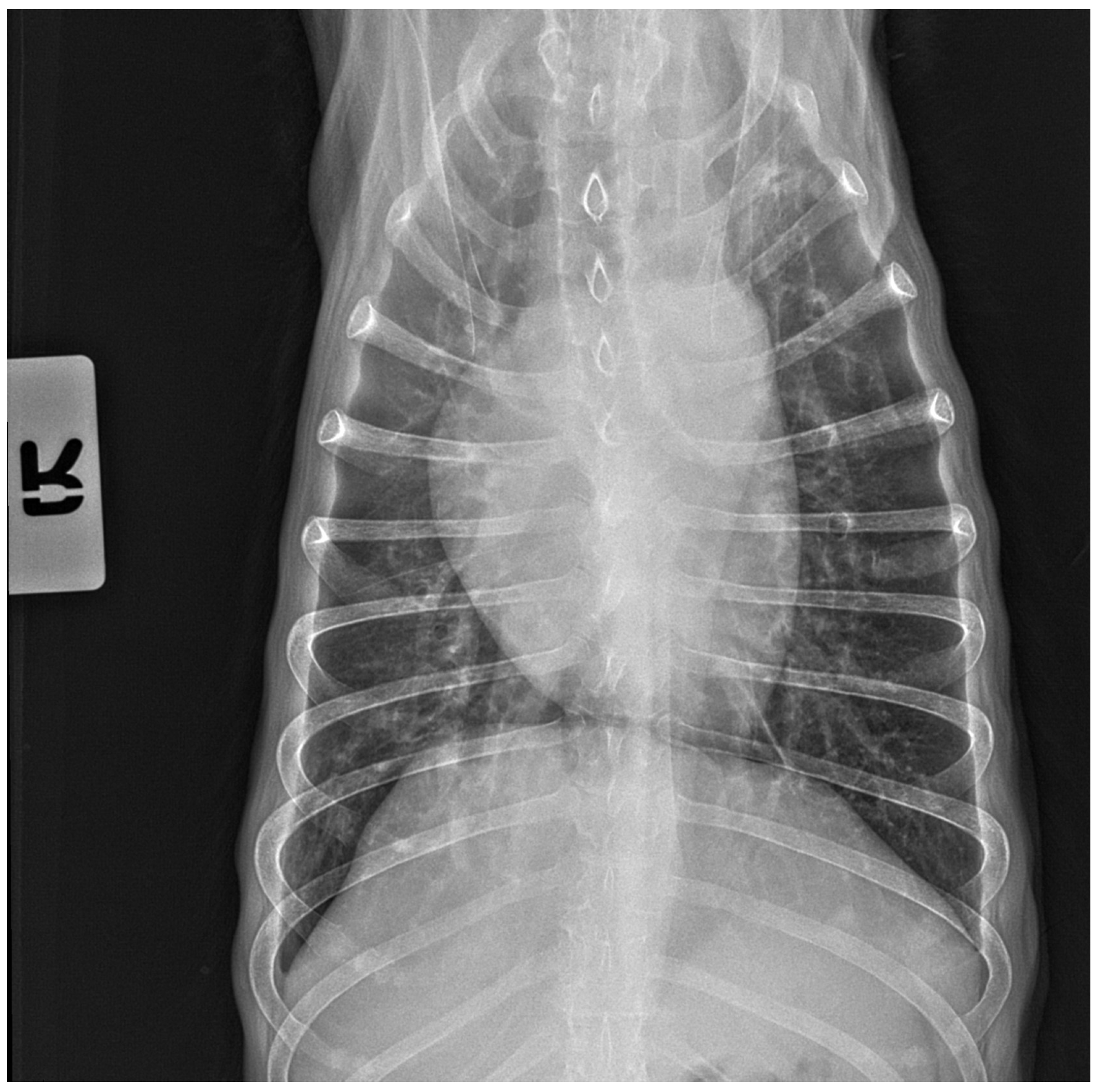 Microorganisms 12 00689 g002