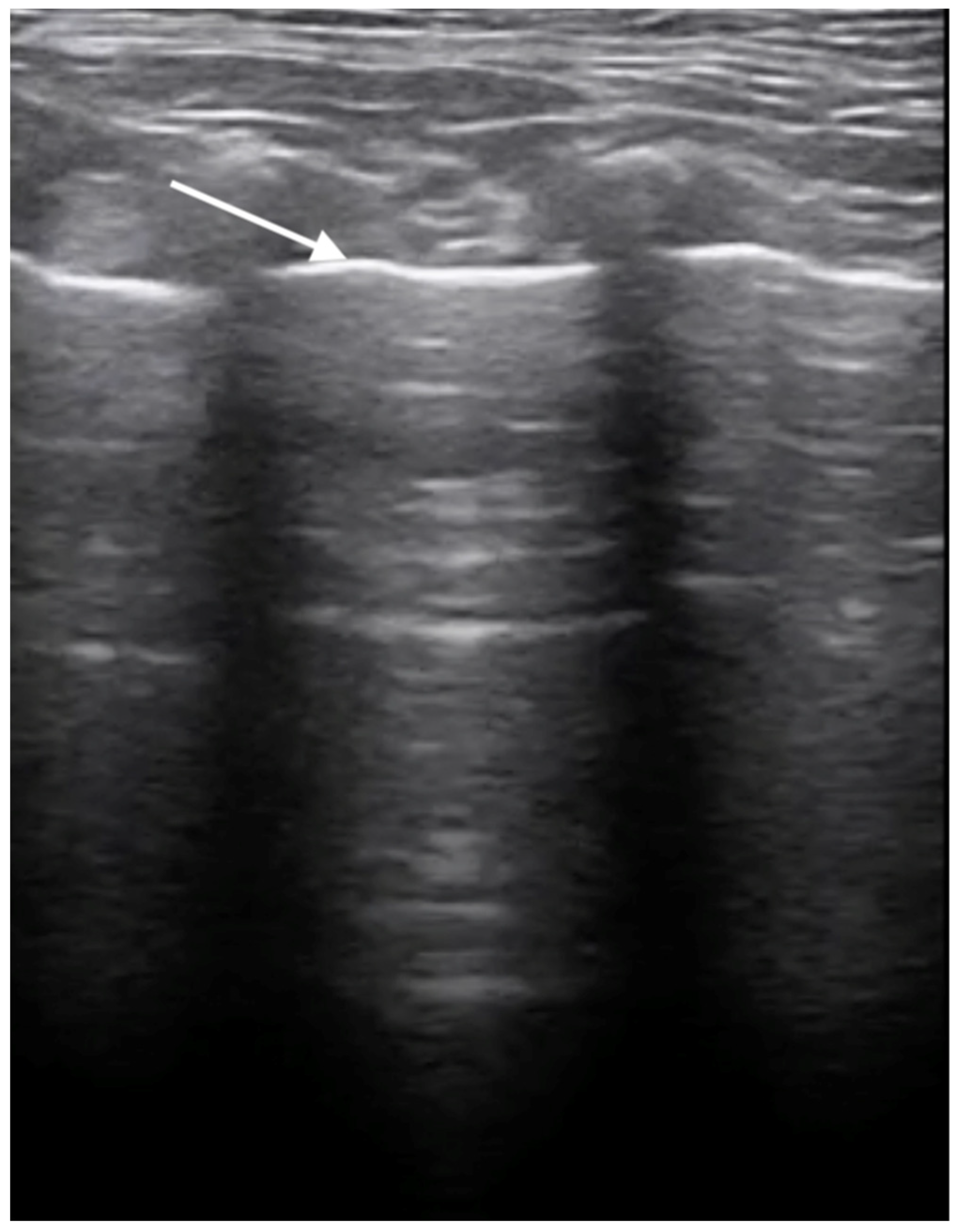 Microorganisms 12 00689 g003