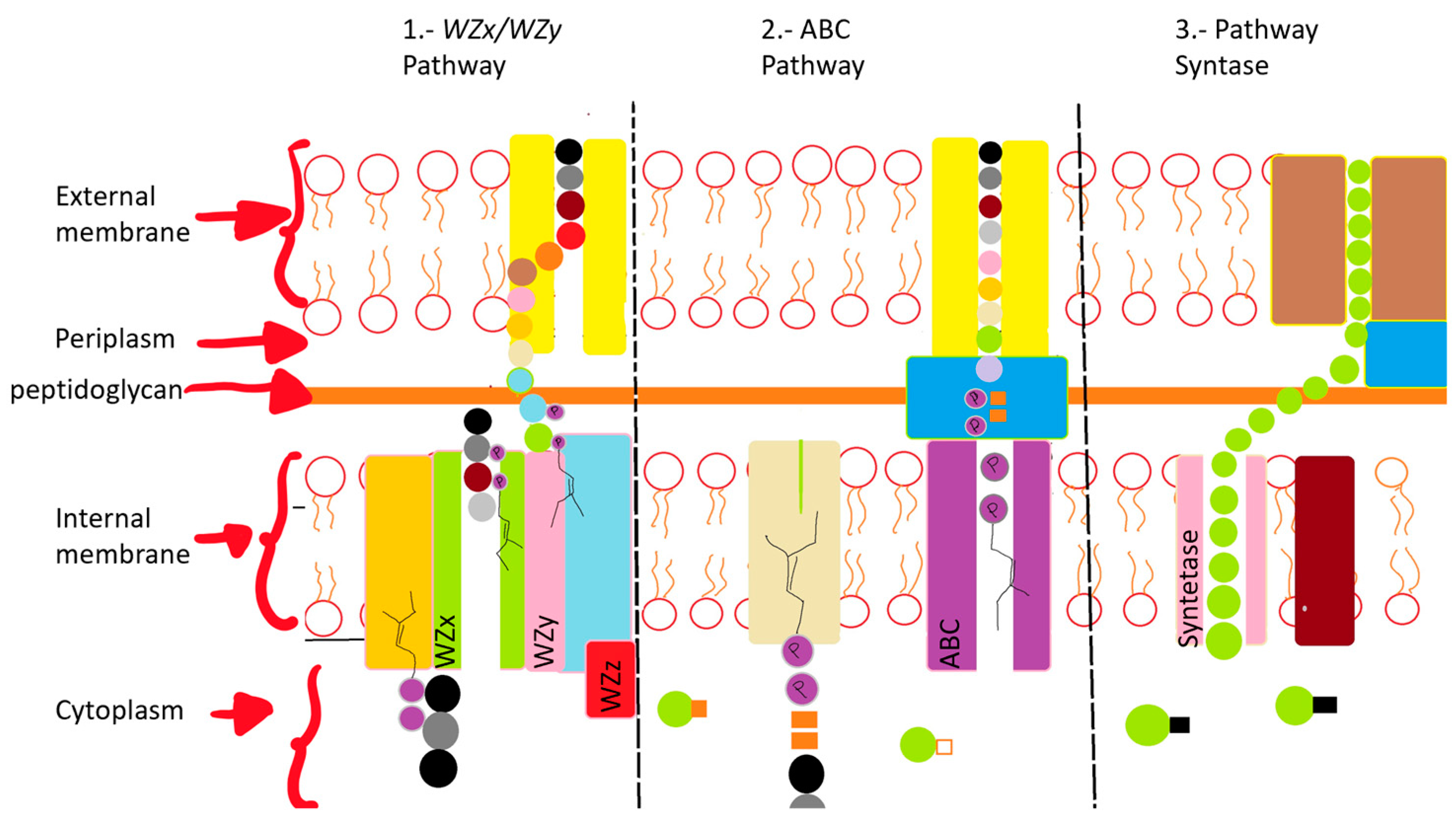 Microorganisms 12 00697 g002 Microorganisms 12 00697 g002