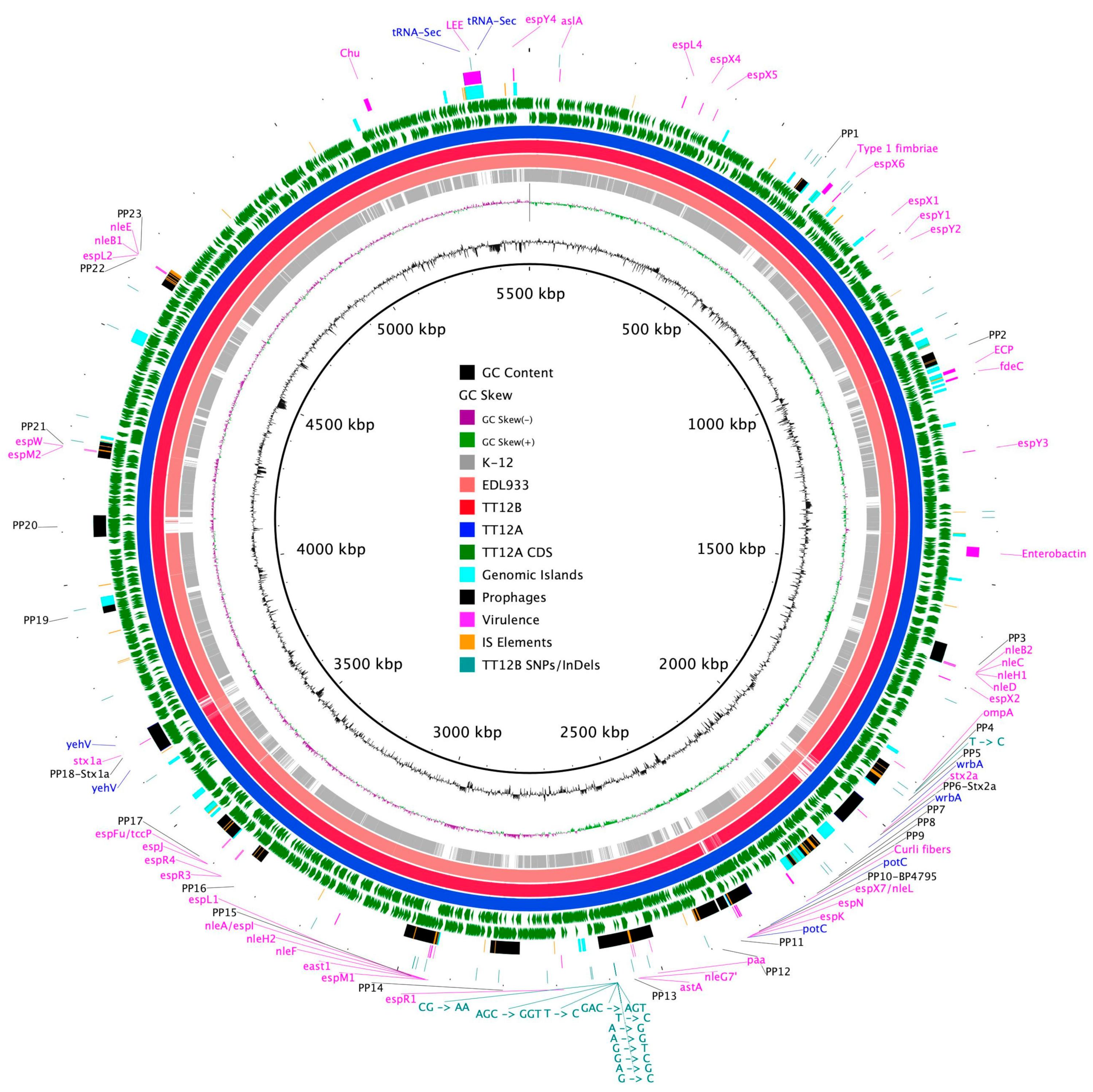 Microorganisms 12 00699 g001