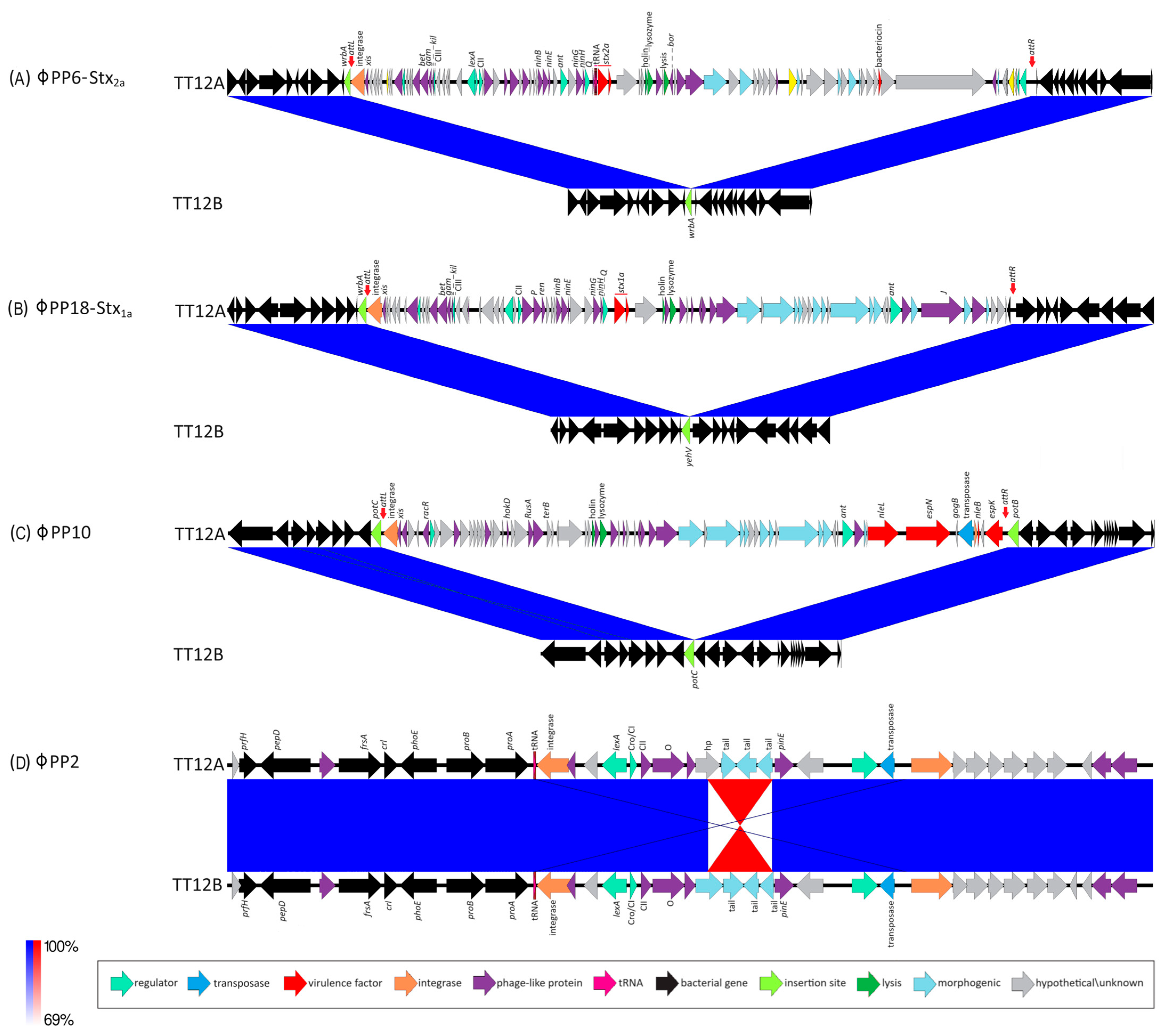Microorganisms 12 00699 g002