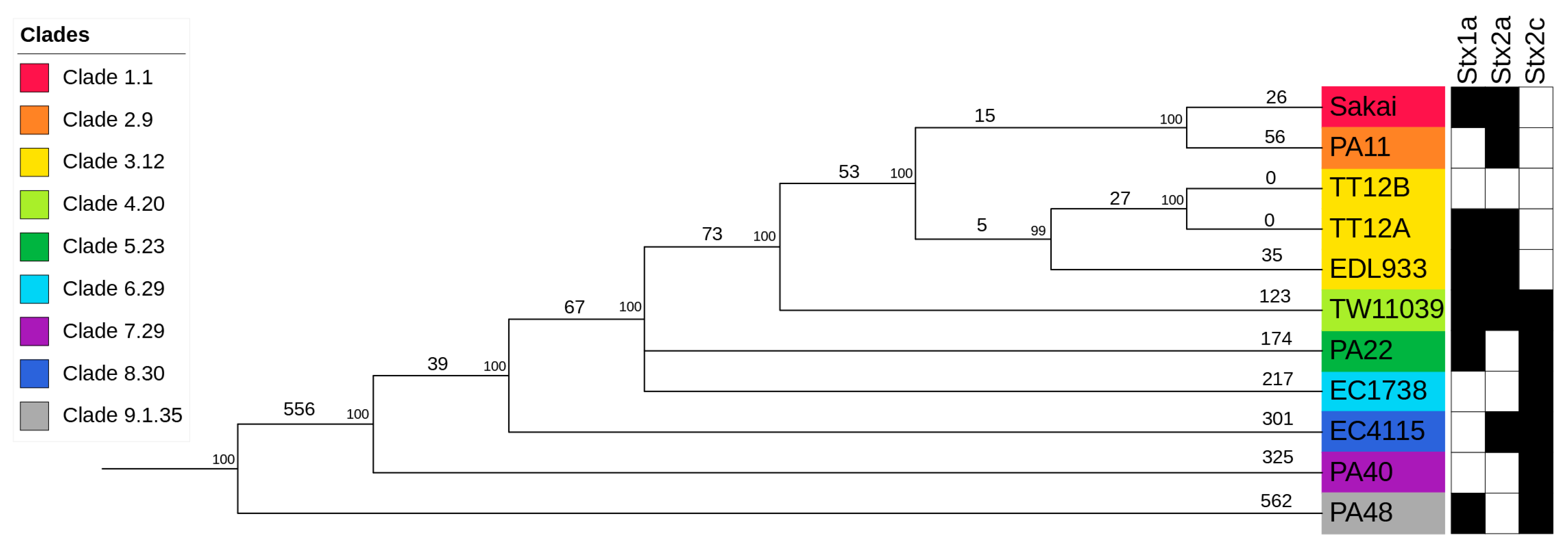 Microorganisms 12 00699 g004
