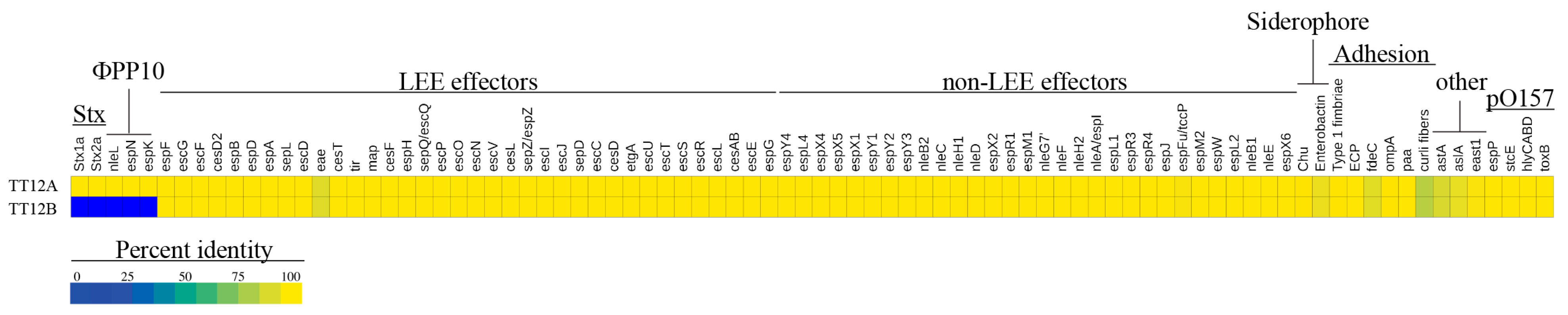 Microorganisms 12 00699 g005