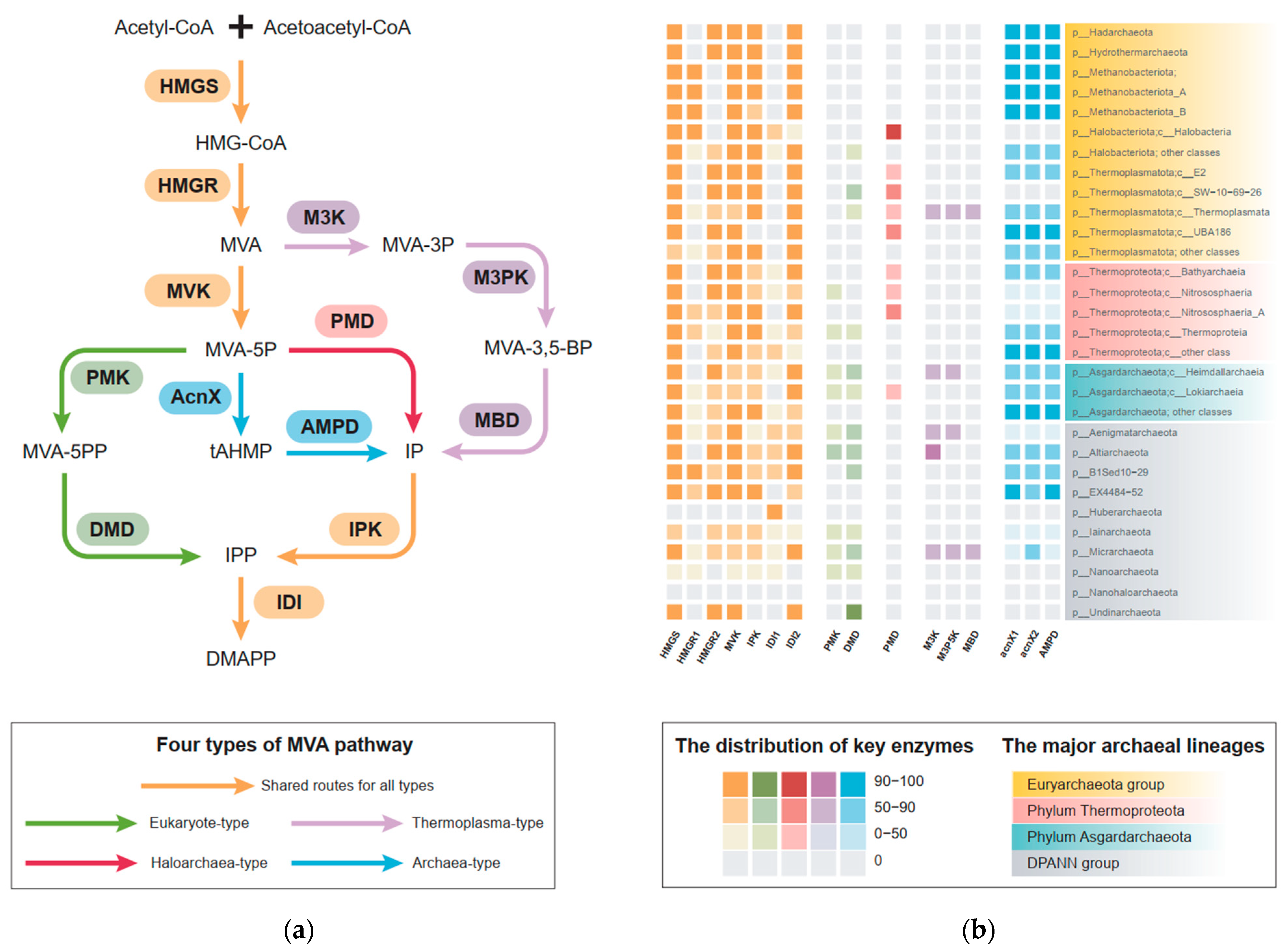 Microorganisms 12 00707 g001