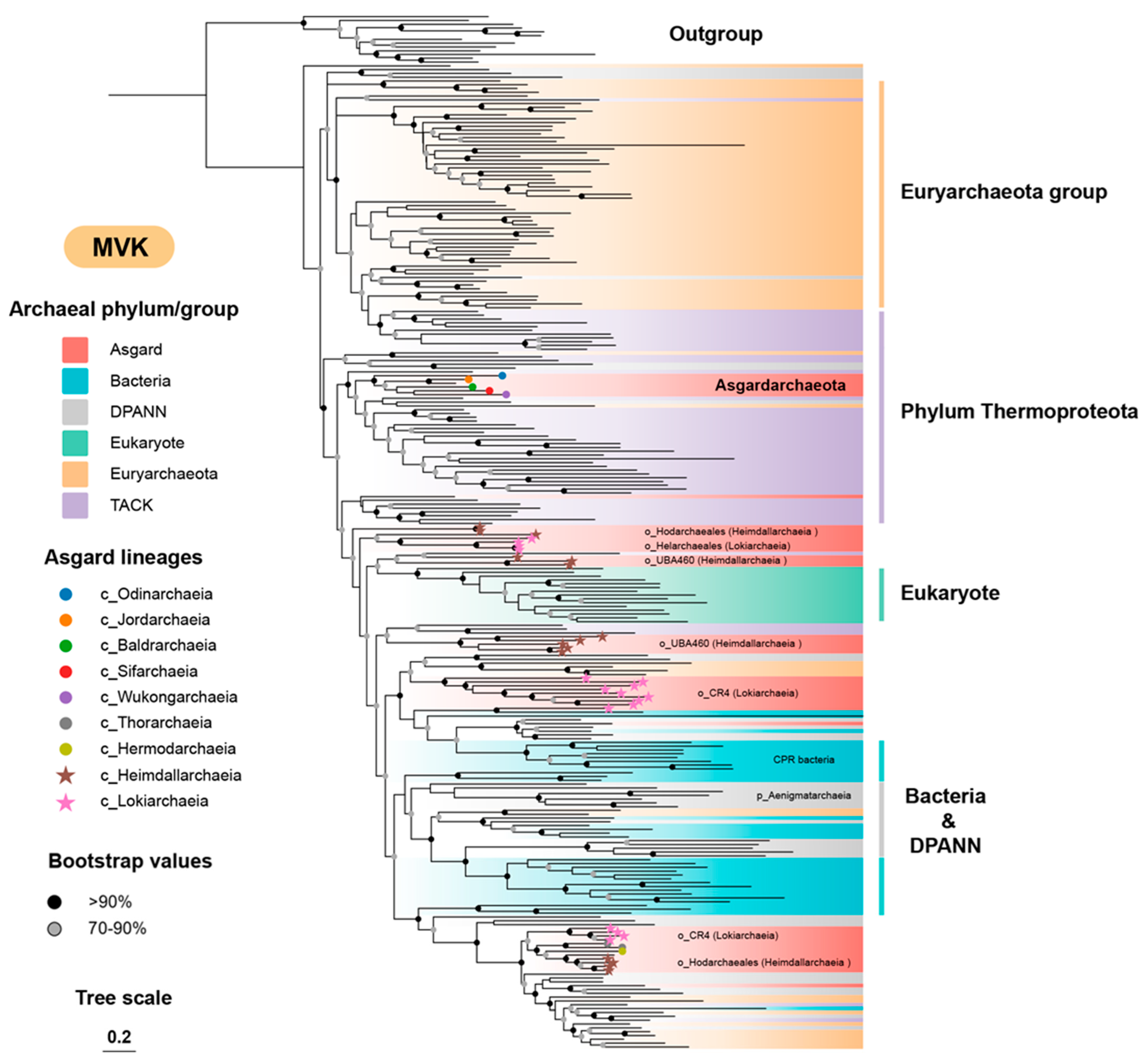 Microorganisms 12 00707 g002