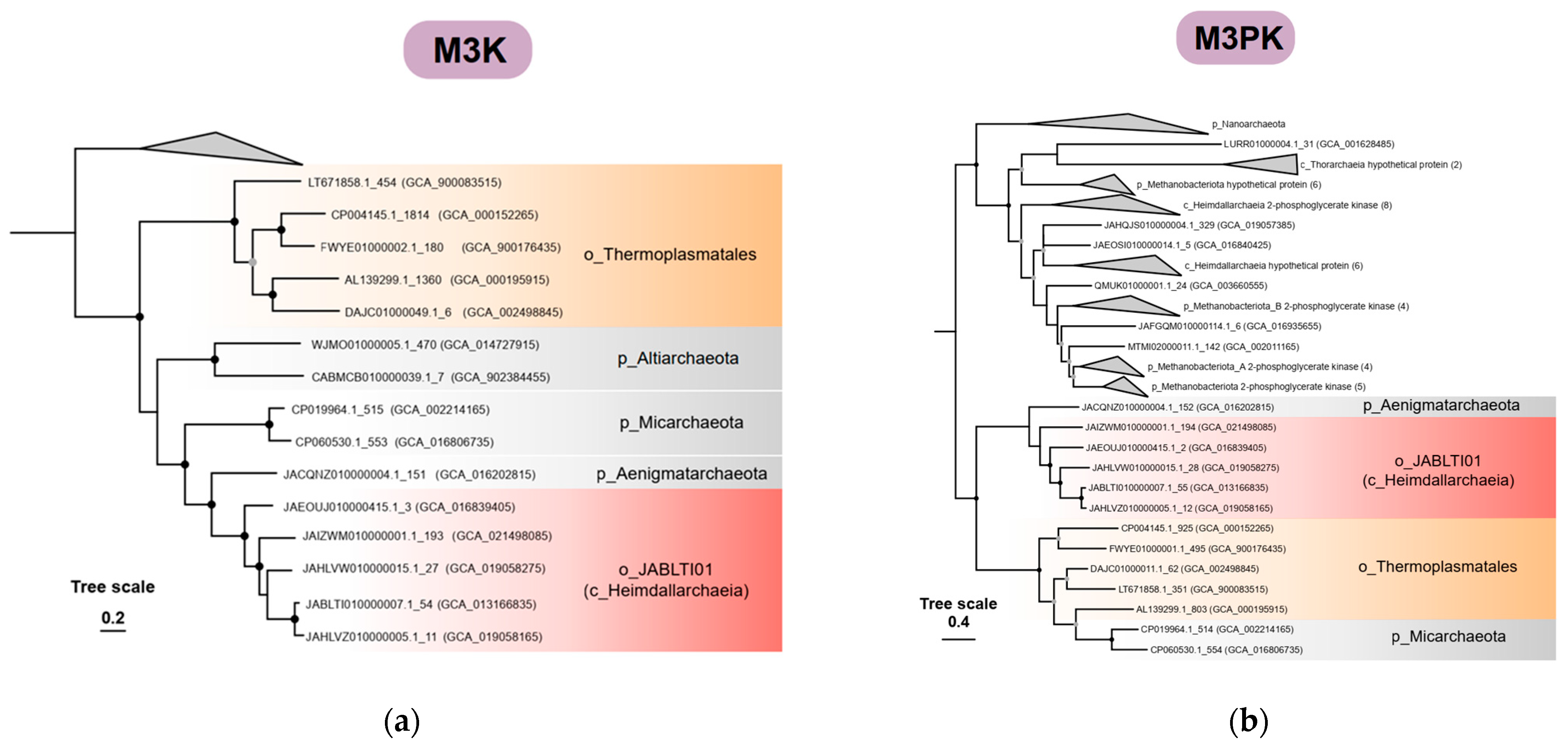 Microorganisms 12 00707 g003a