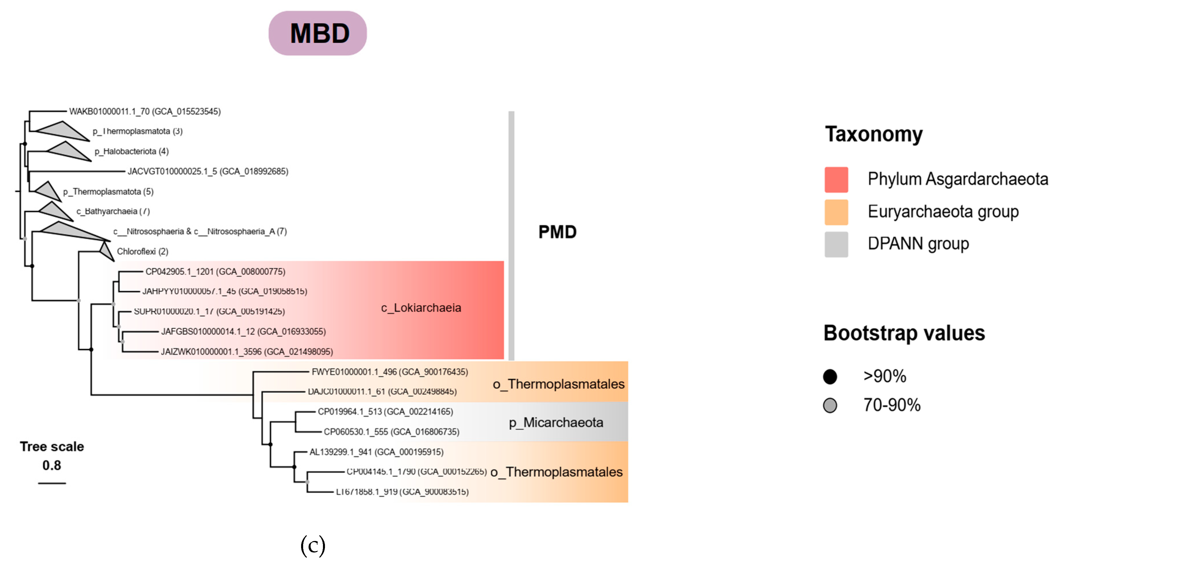 Microorganisms 12 00707 g003b