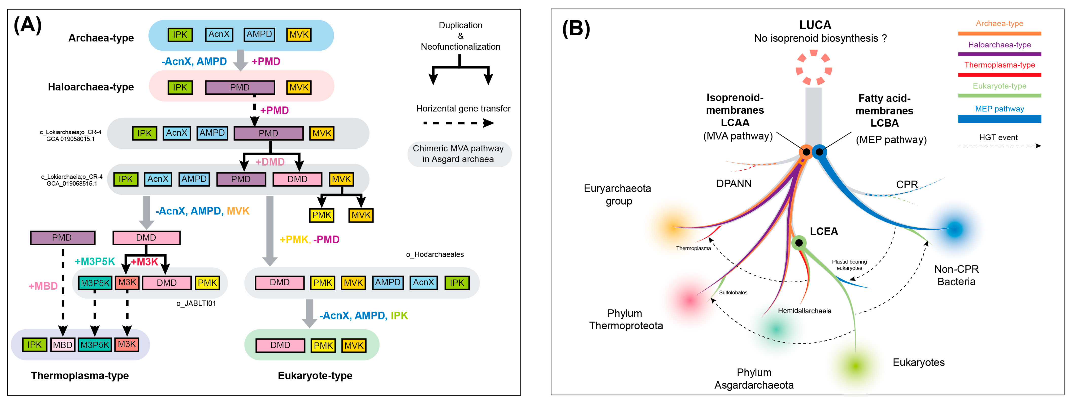 Microorganisms 12 00707 g005