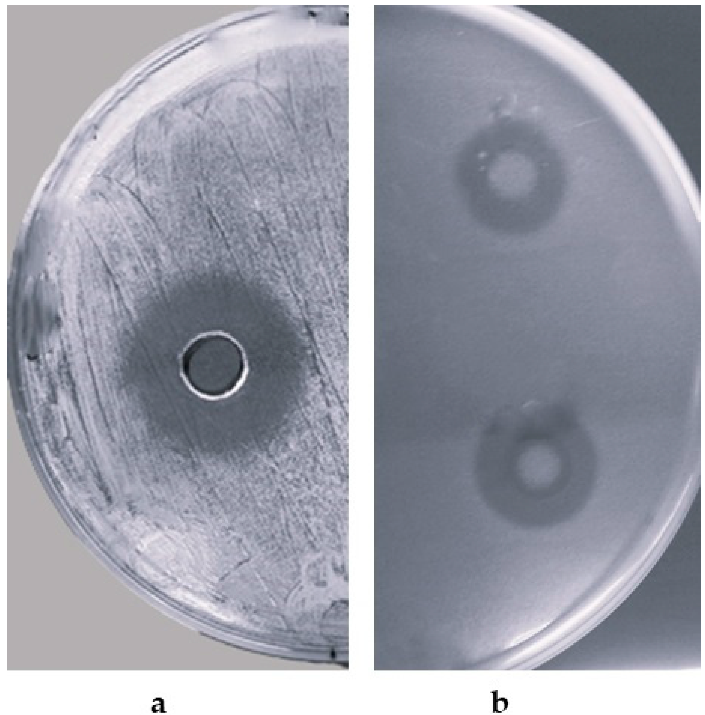 Microorganisms 12 00718 g001 Microorganisms 12 00718 g001