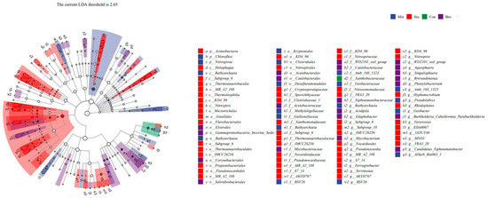 Microorganisms 12 00728 g0a2