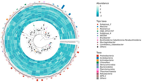 Microorganisms 12 00728 g0a3