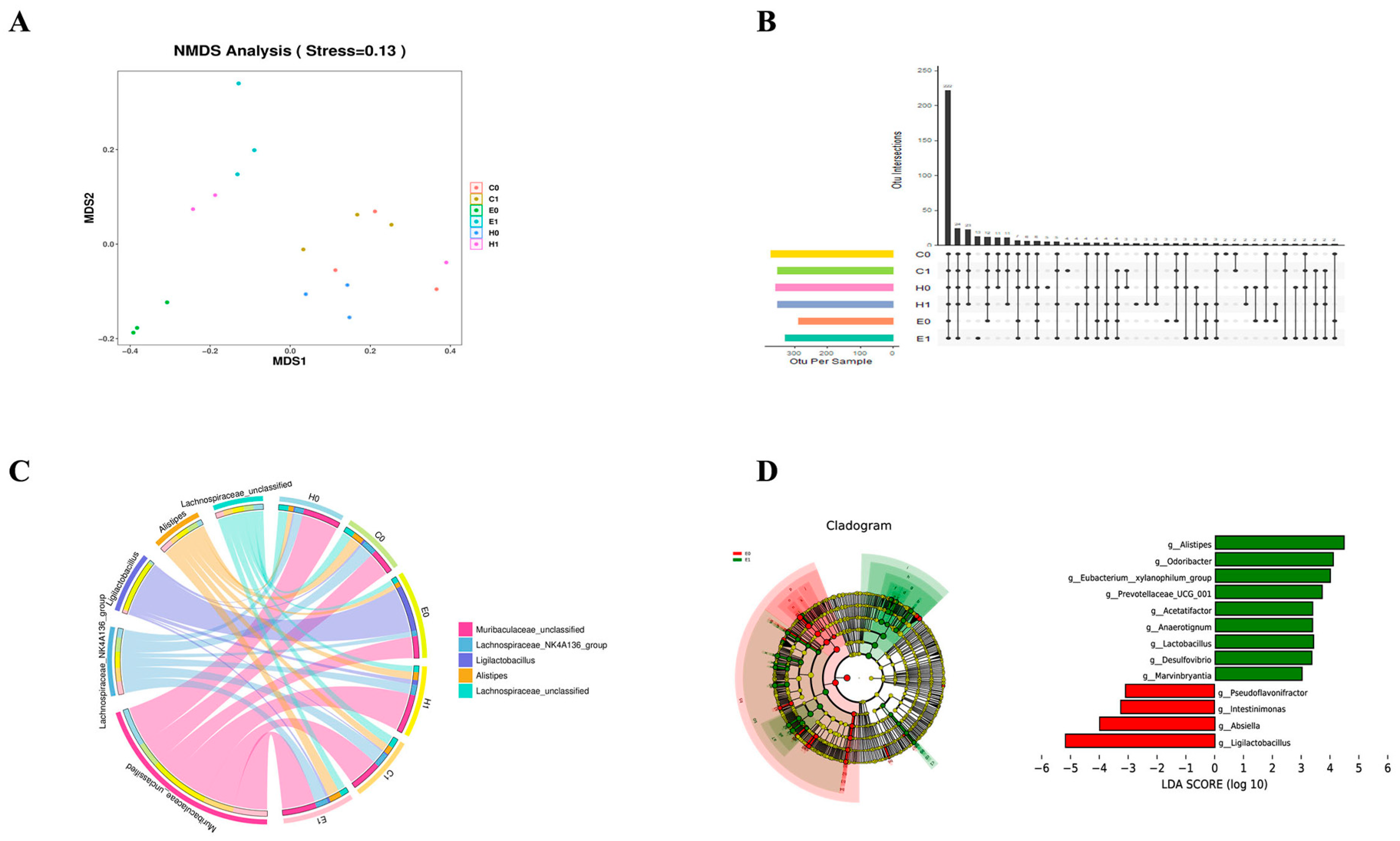 Microorganisms 12 00730 g010