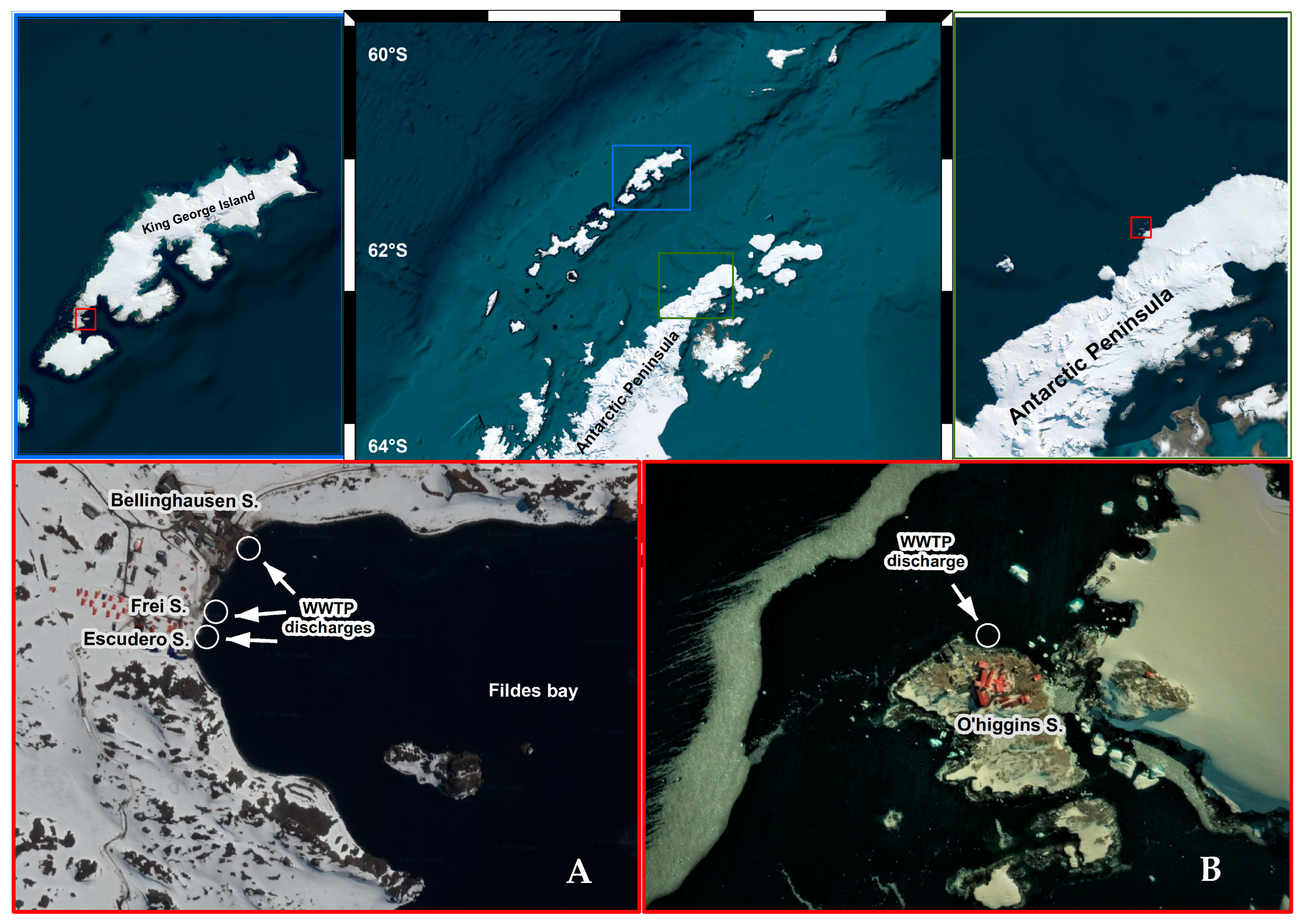 Microorganisms 12 00743 g001