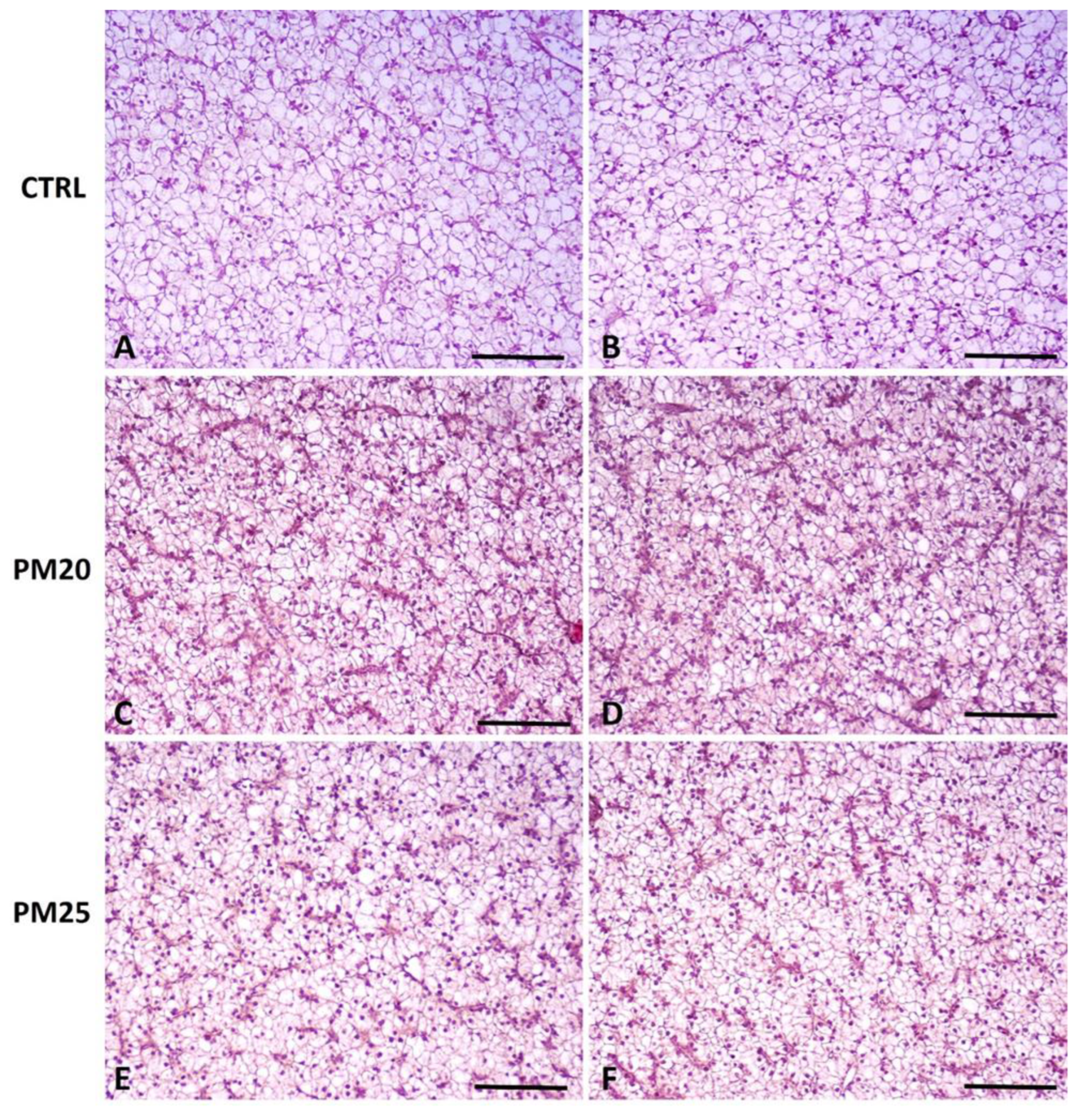 Microorganisms 12 00744 g002