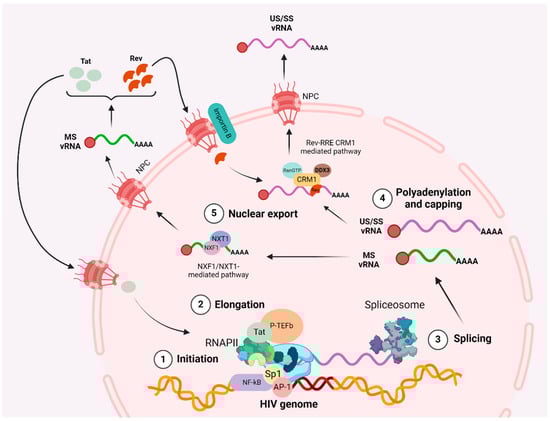 Microorganisms 12 00752 g001
