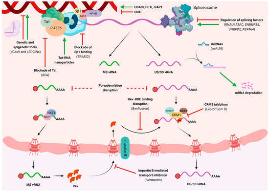 Microorganisms 12 00752 g002
