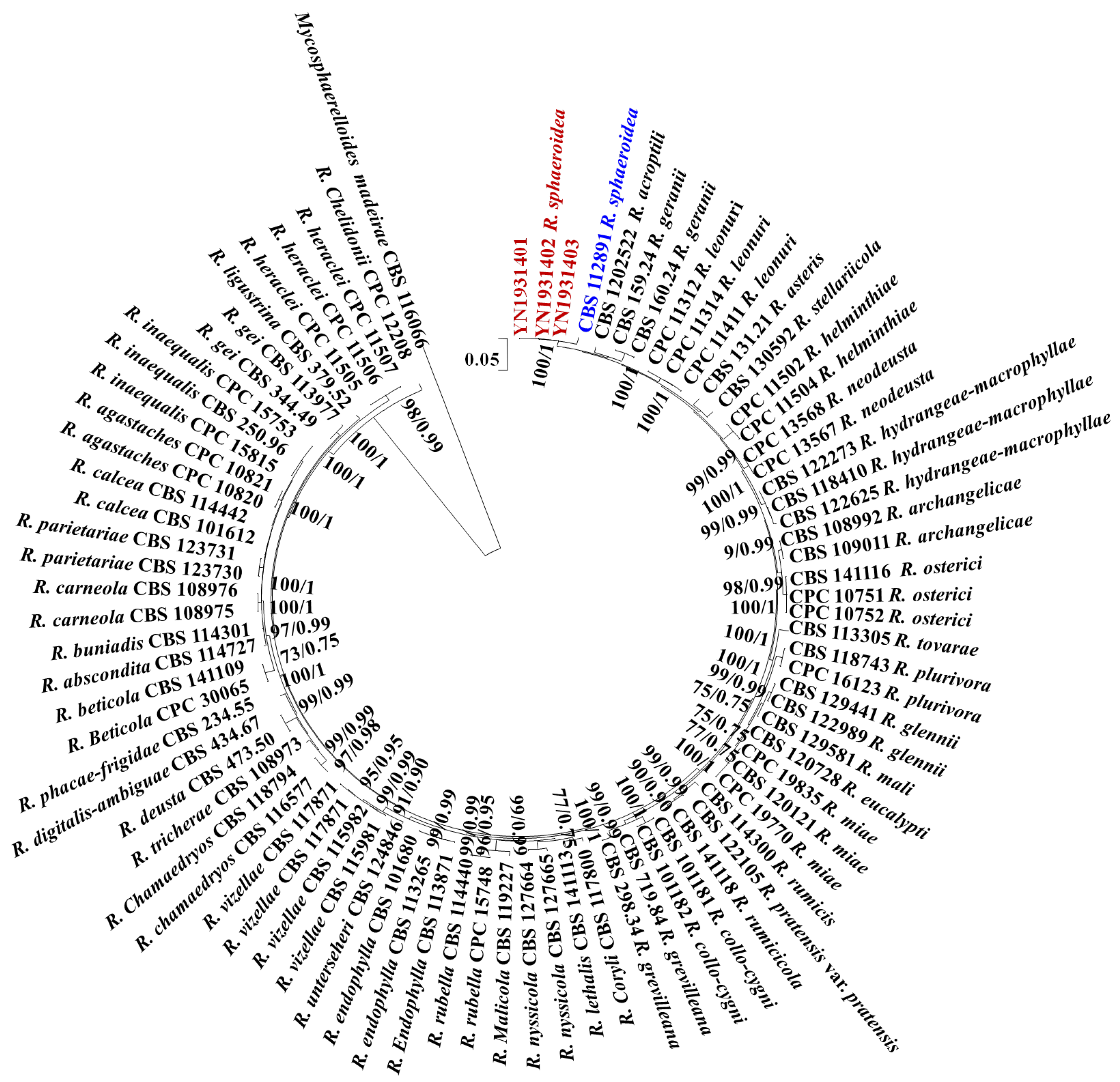 Microorganisms 12 00766 g001
