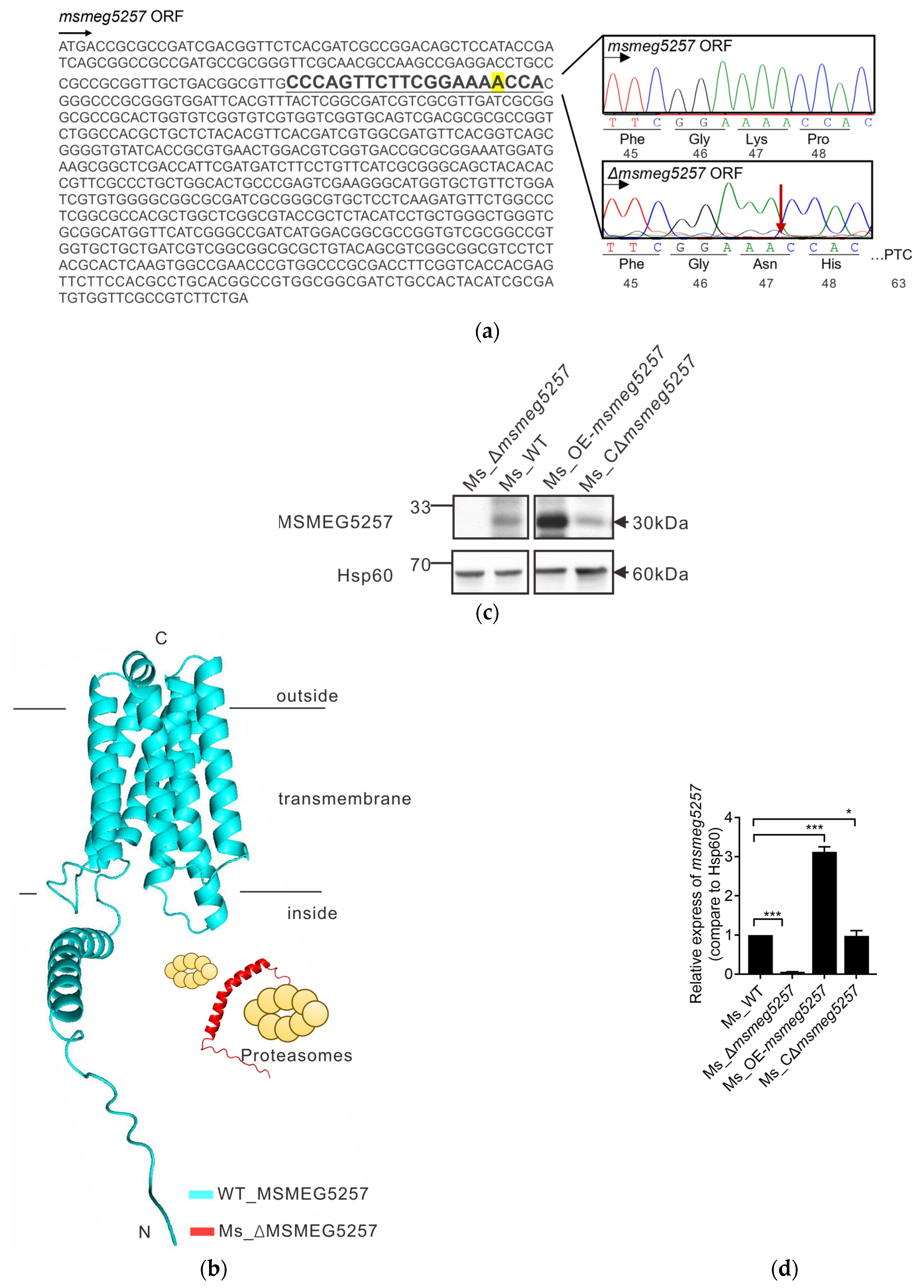 Microorganisms 12 00770 g001