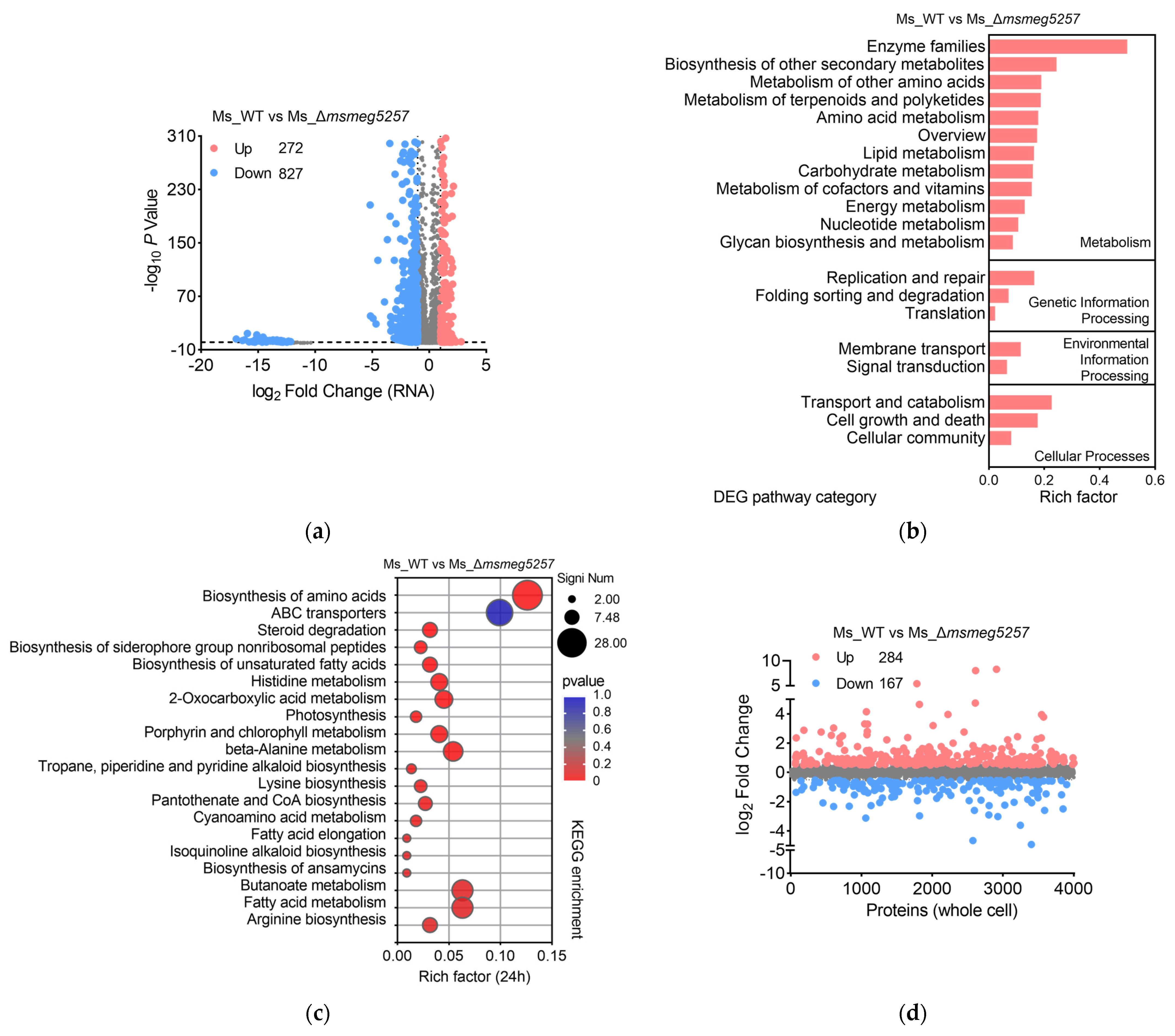 Microorganisms 12 00770 g002