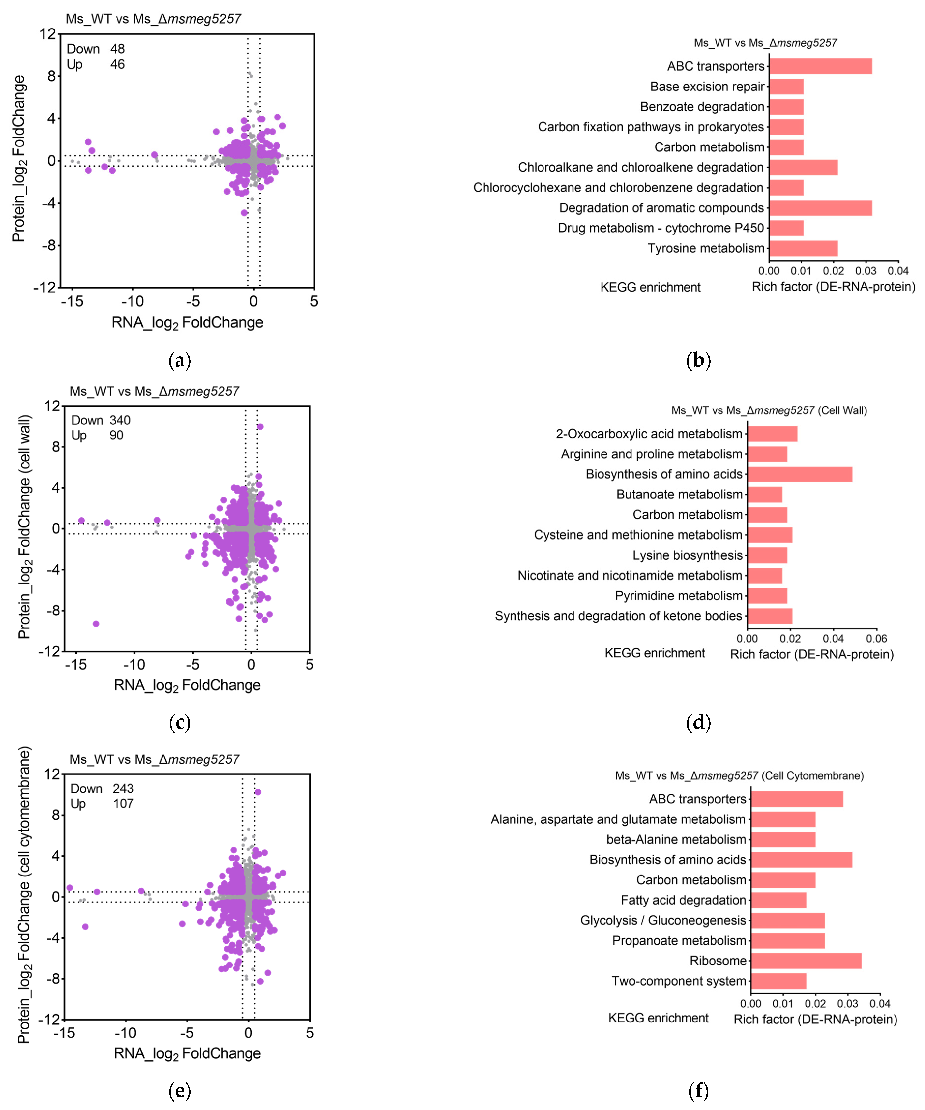 Microorganisms 12 00770 g003a