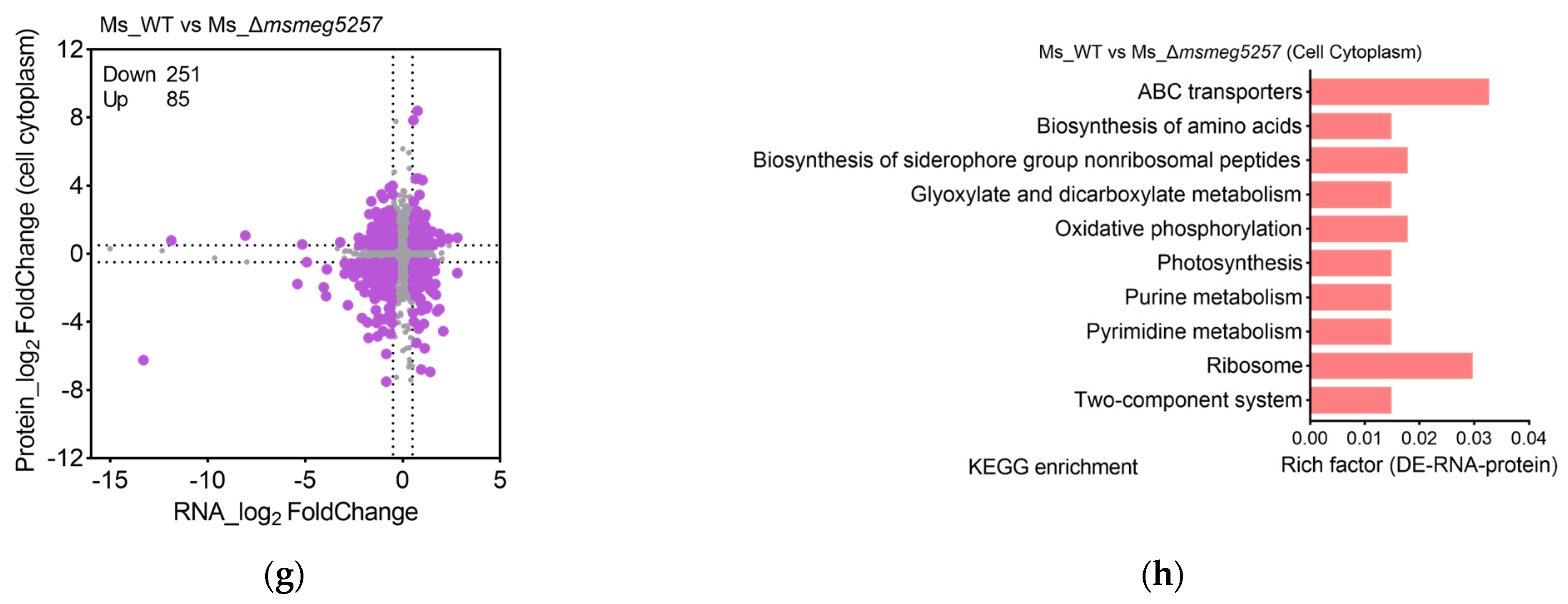 Microorganisms 12 00770 g003b