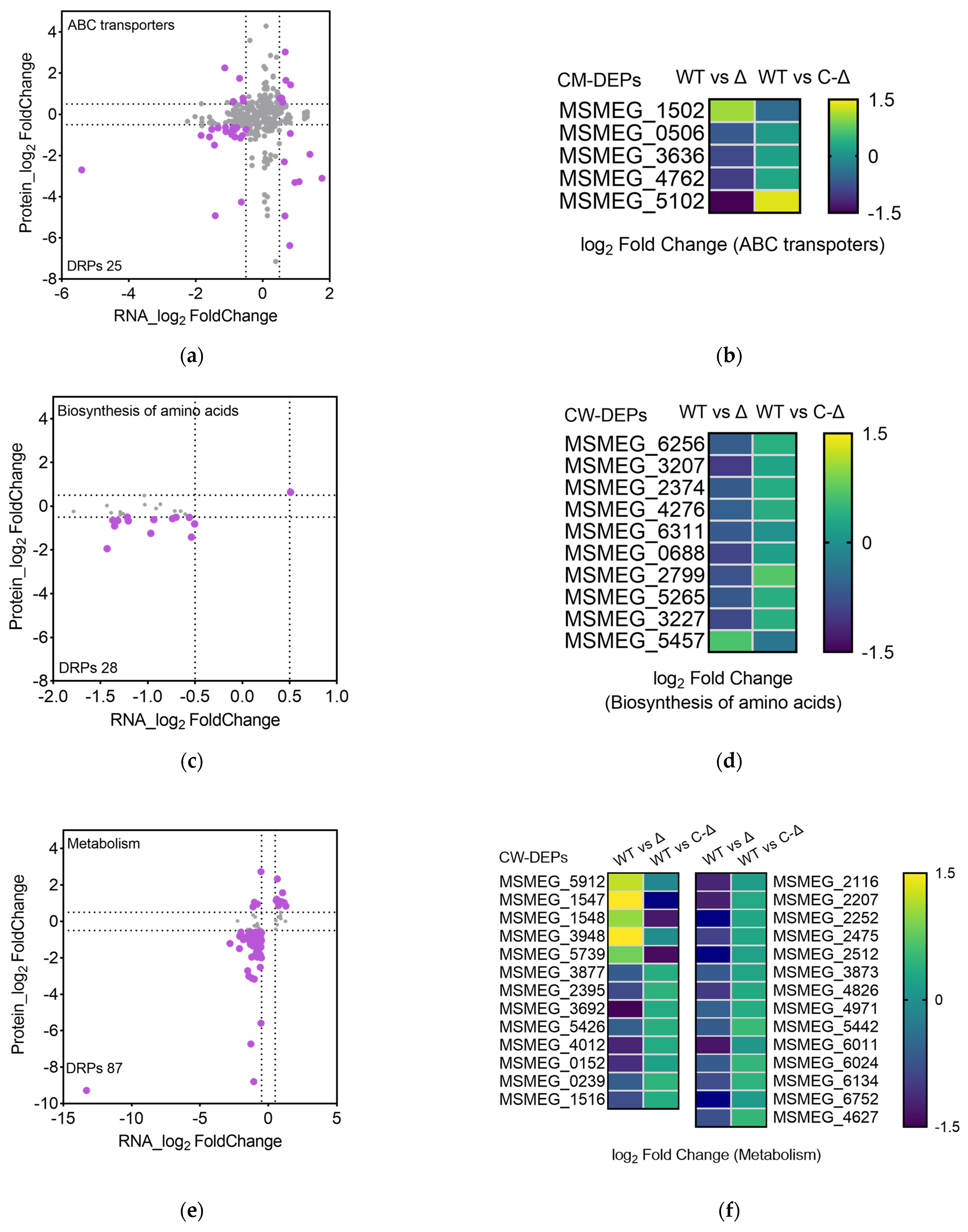 Microorganisms 12 00770 g004