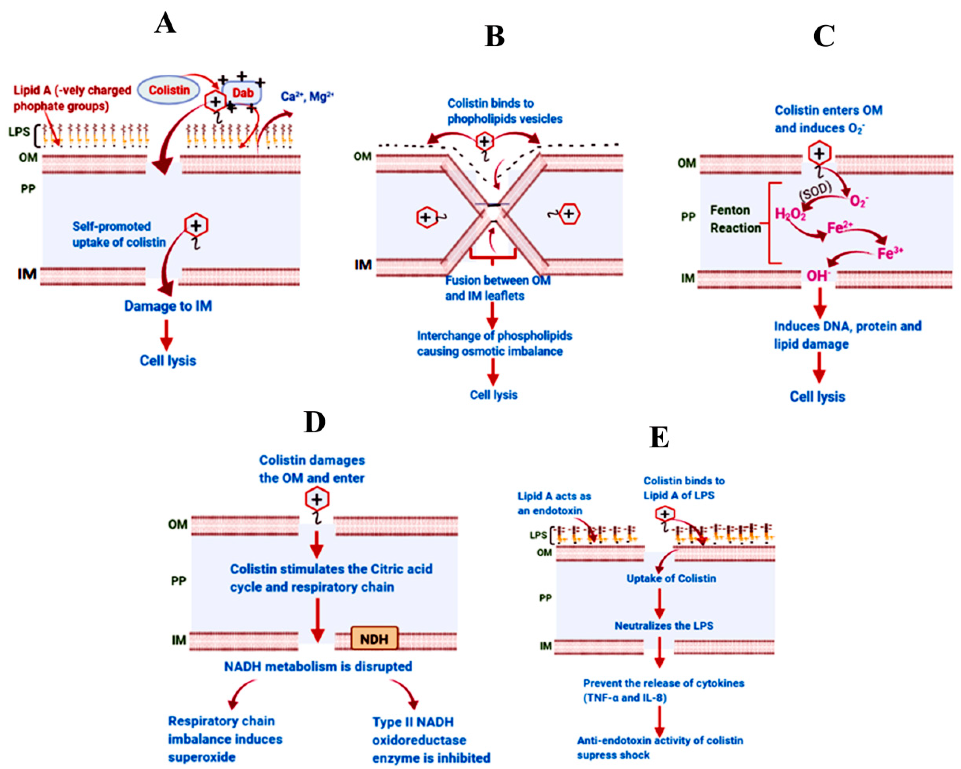 Microorganisms 12 00772 g001
