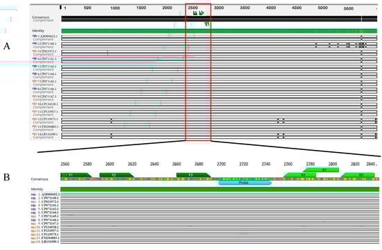Microorganisms 12 00777 g001