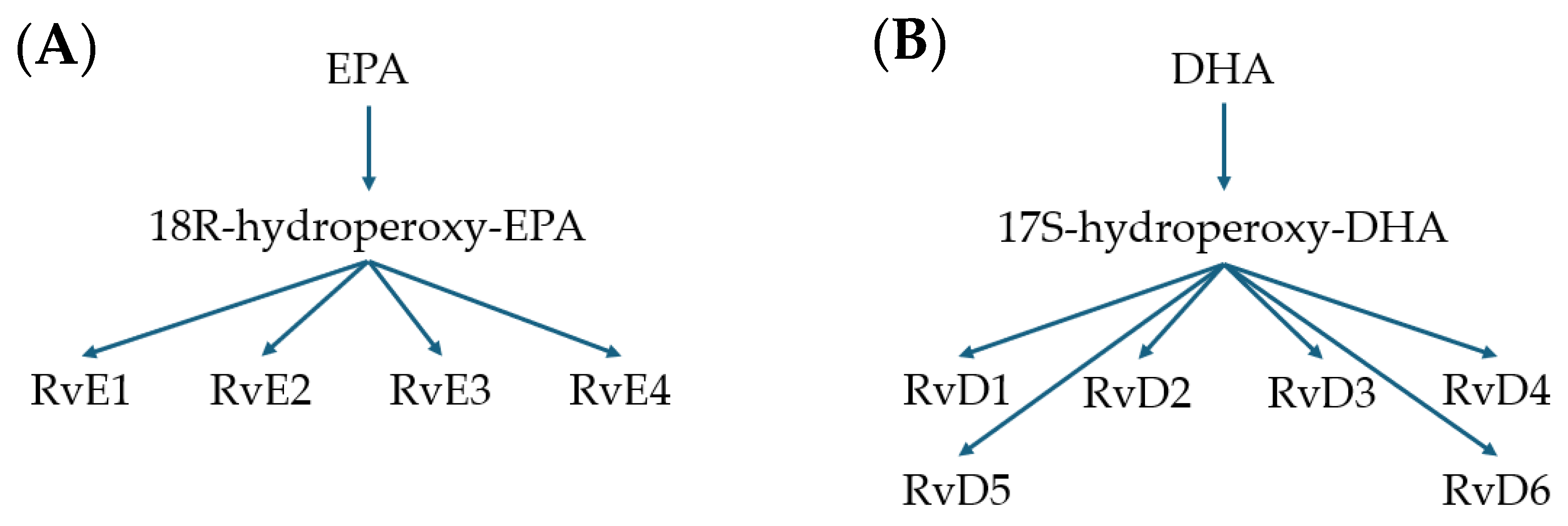 Microorganisms 12 00778 g001