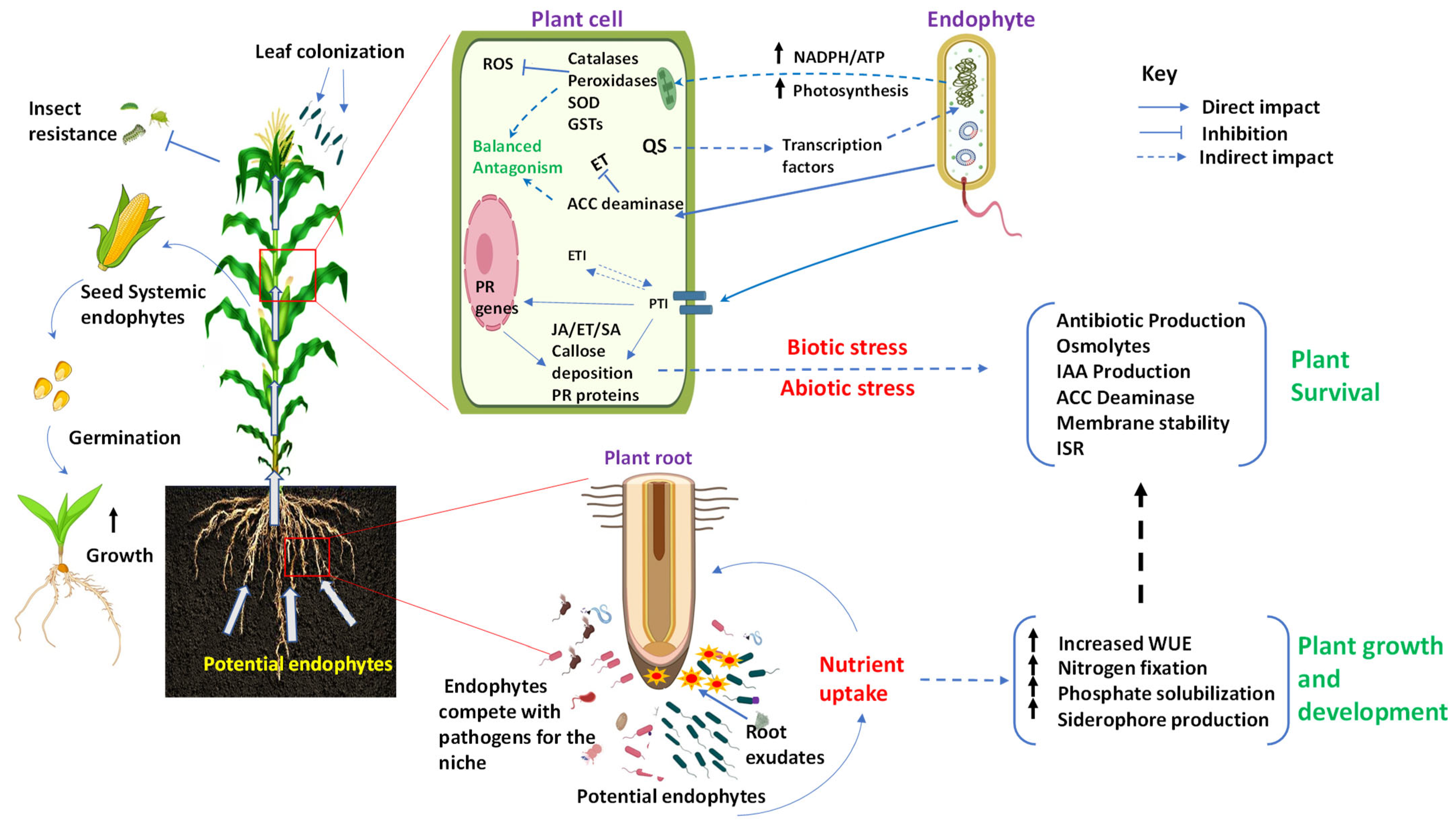 Microorganisms 12 00779 g001 Microorganisms 12 00779 g001