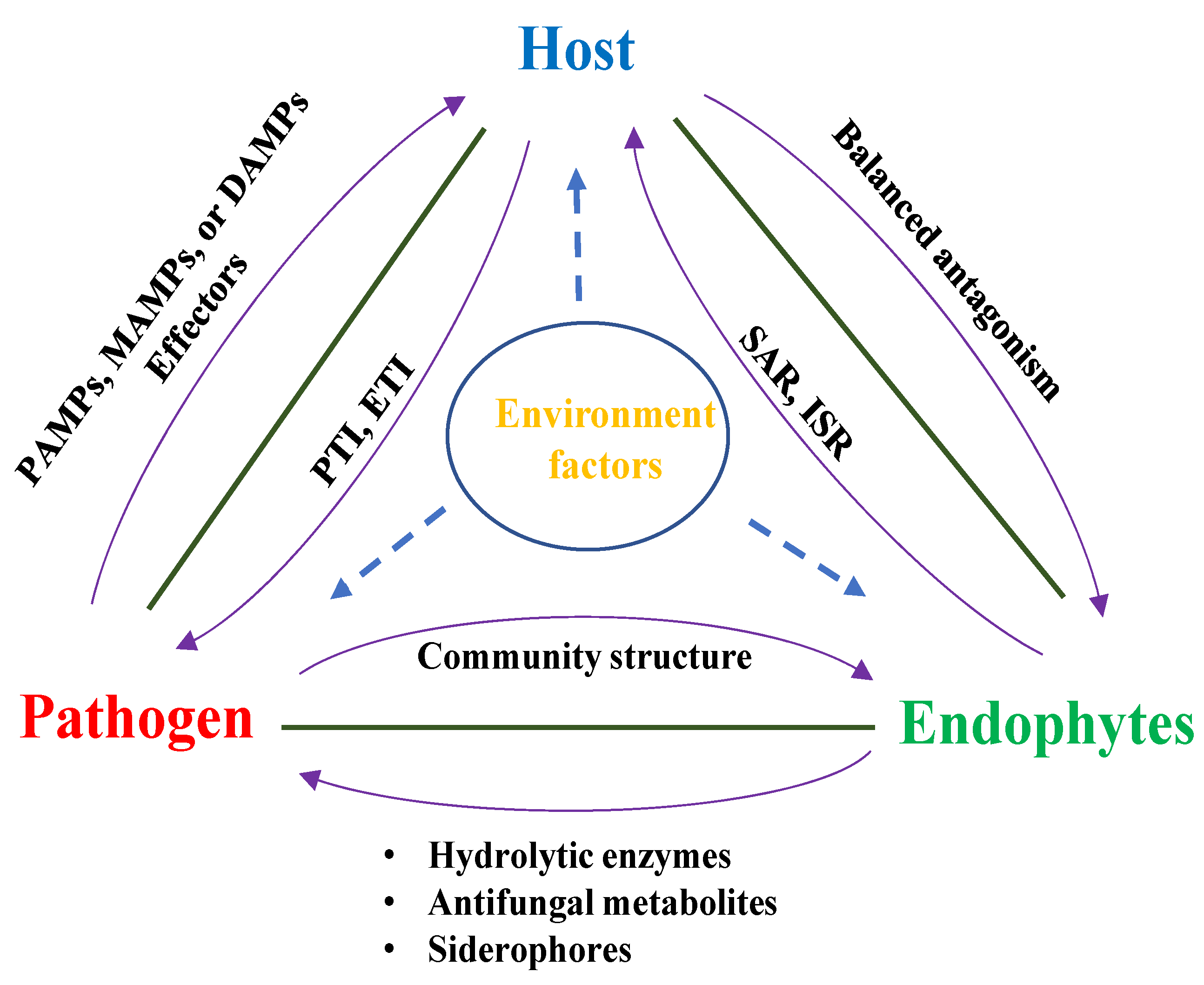 Microorganisms 12 00779 g002 Microorganisms 12 00779 g002