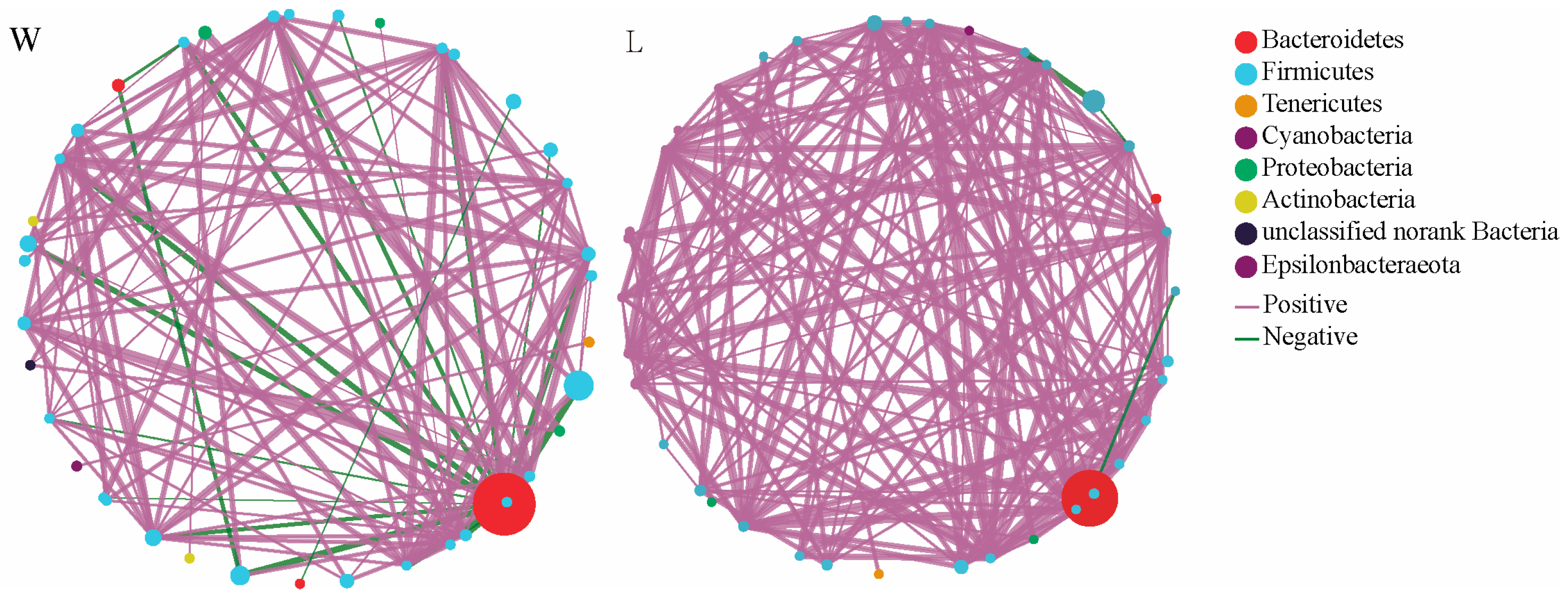 Microorganisms 12 00789 g001