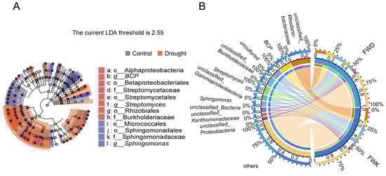 Microorganisms 12 00790 g005