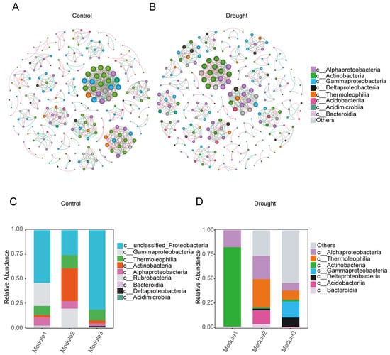 Microorganisms 12 00790 g006