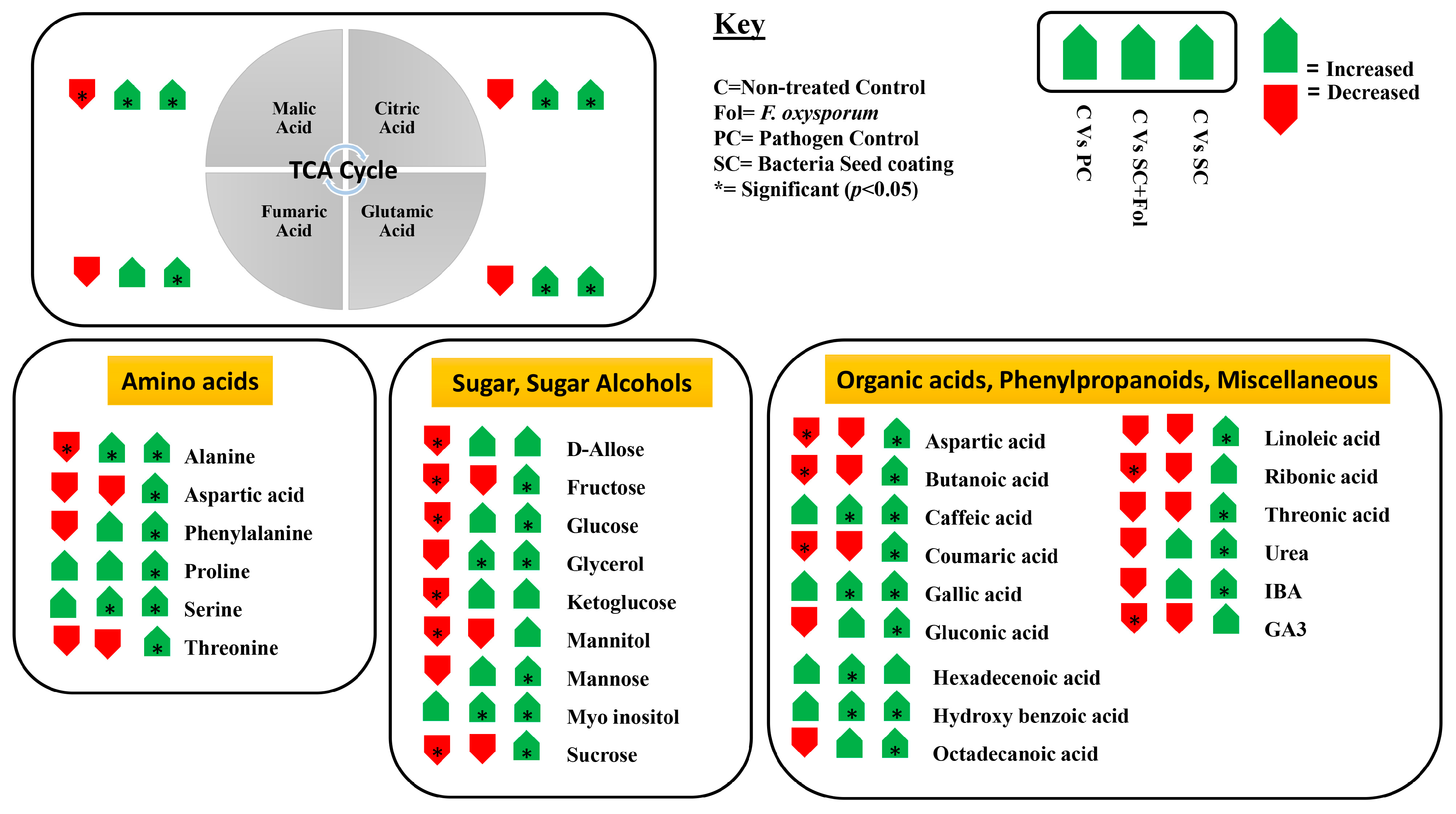 Microorganisms 12 00792 g007