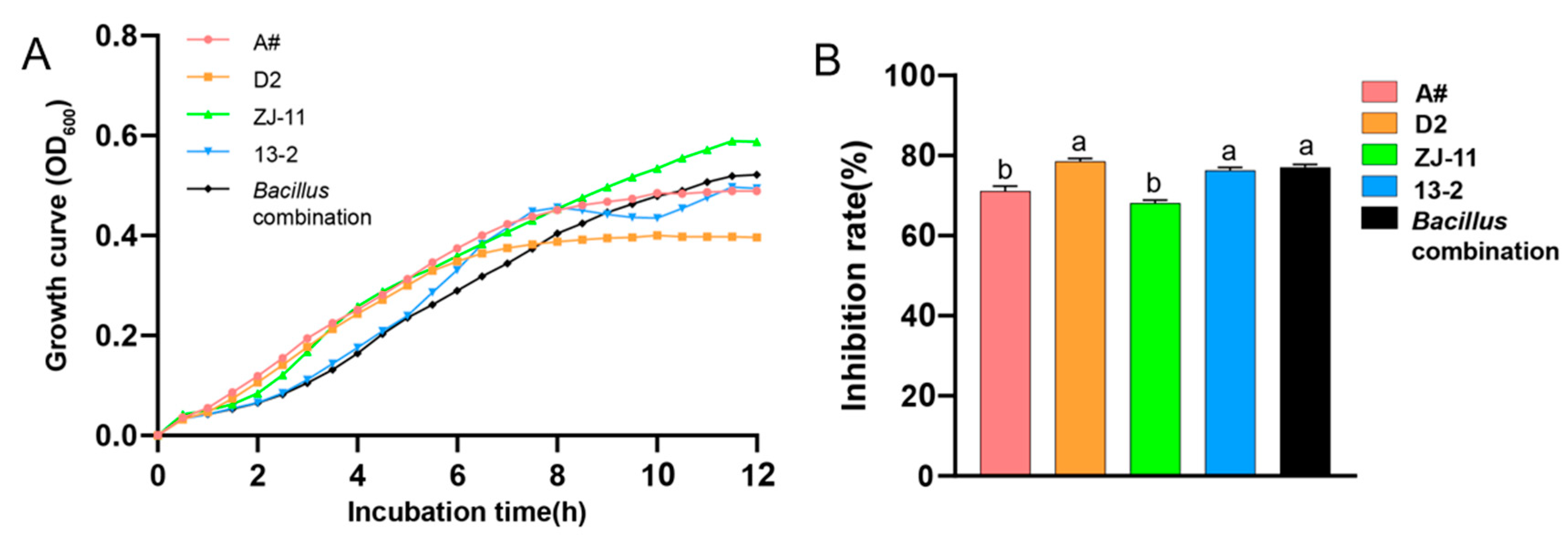 Microorganisms 12 00797 g001