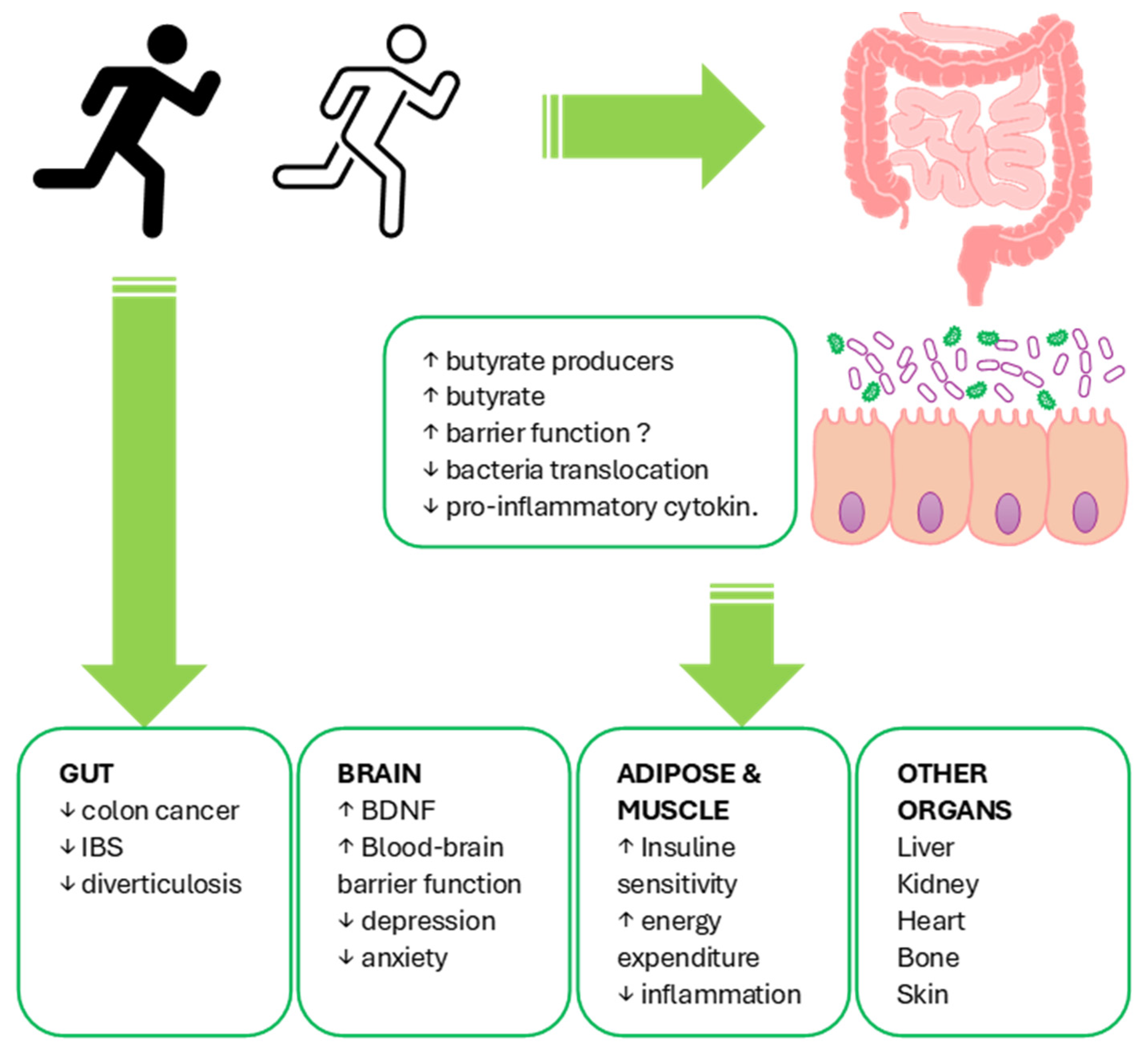 Microorganisms 12 00804 g001